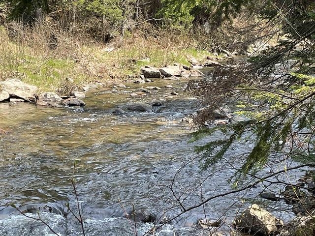 Simms Stream Road Property Photo 1