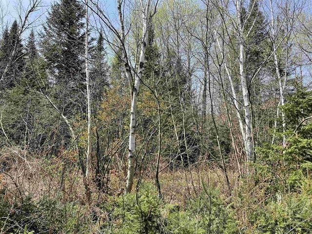 Simms Stream Road Property Photo 2