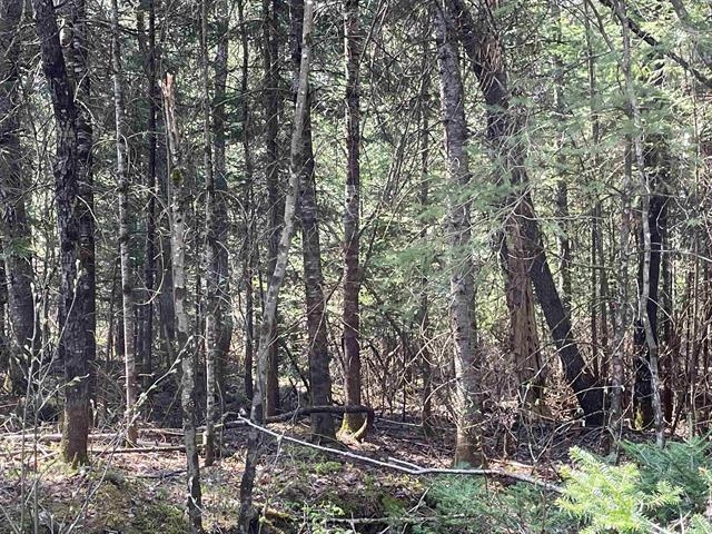 Simms Stream Road Property Photo 3