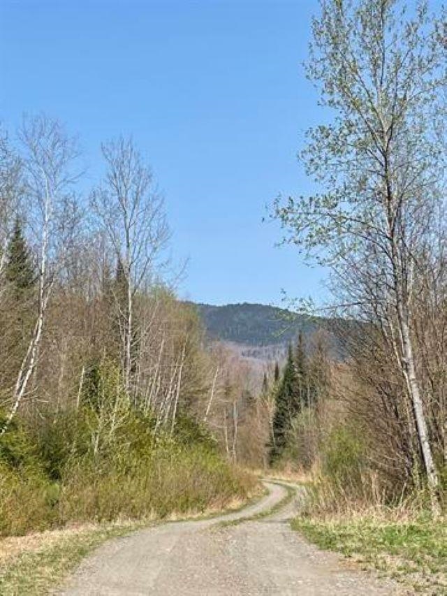 Simms Stream Road Property Photo 4