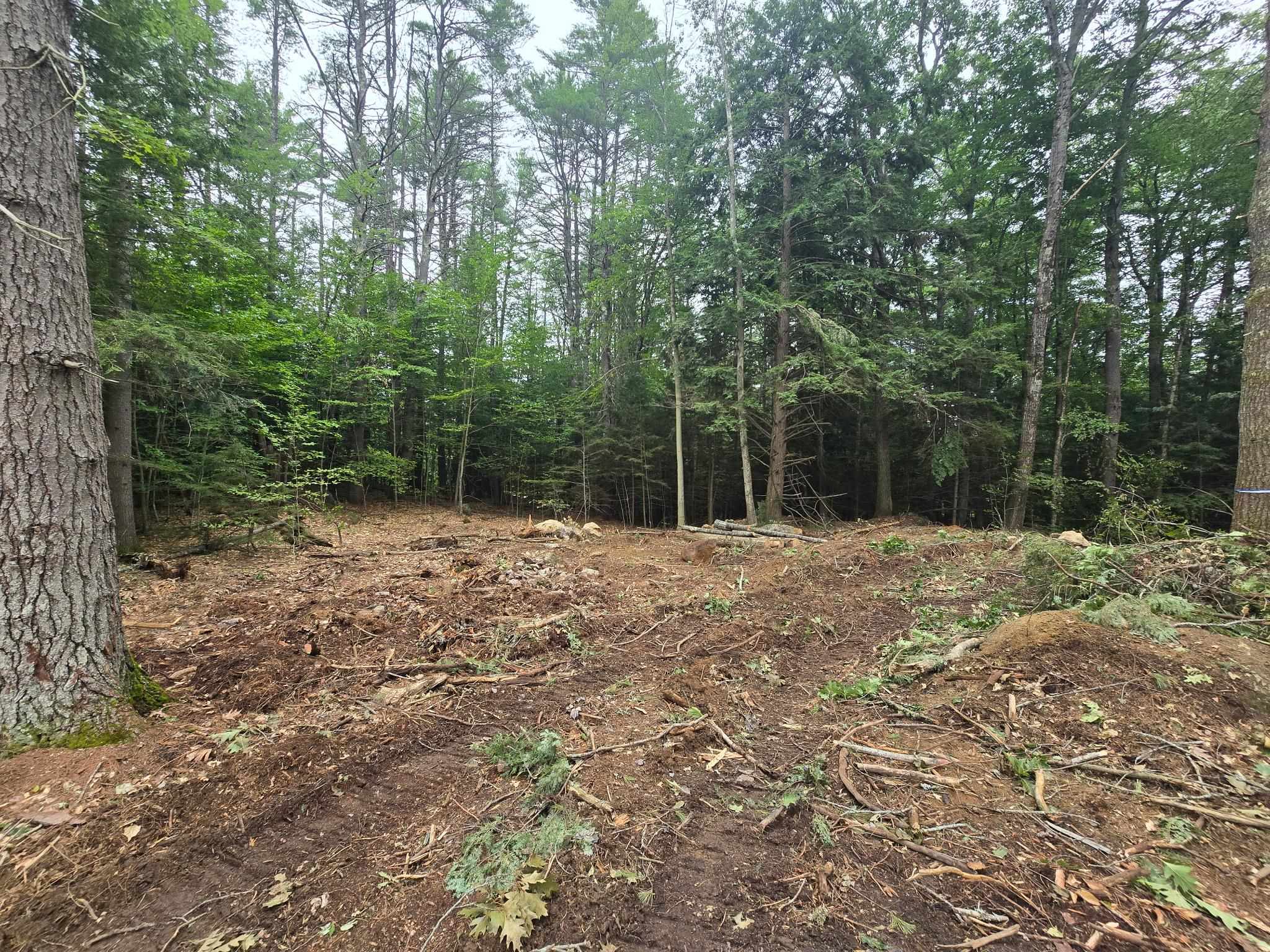 Lot 36 Beaver Dam Road Property Photo 5