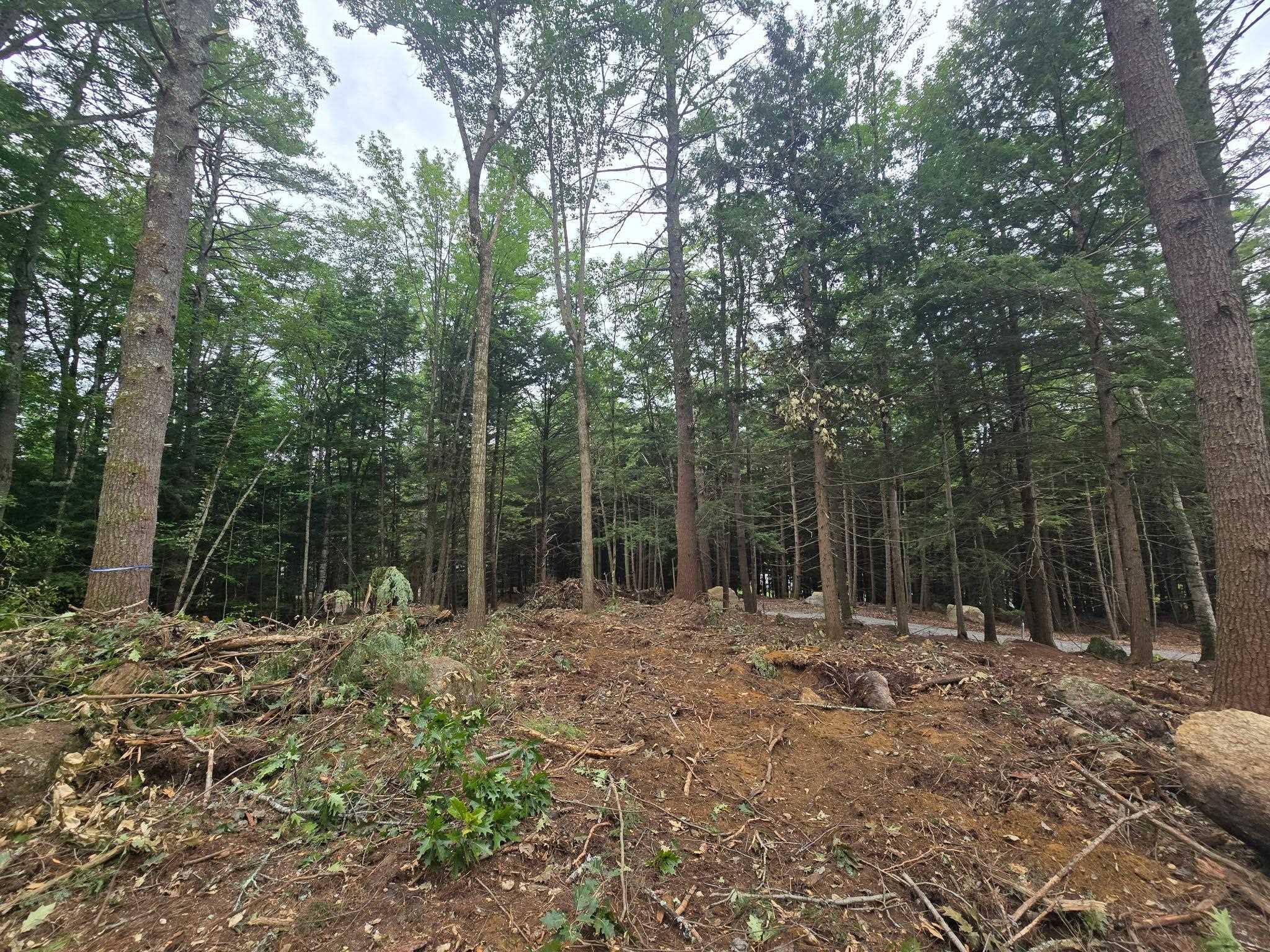 Lot 36 Beaver Dam Road Property Photo 6