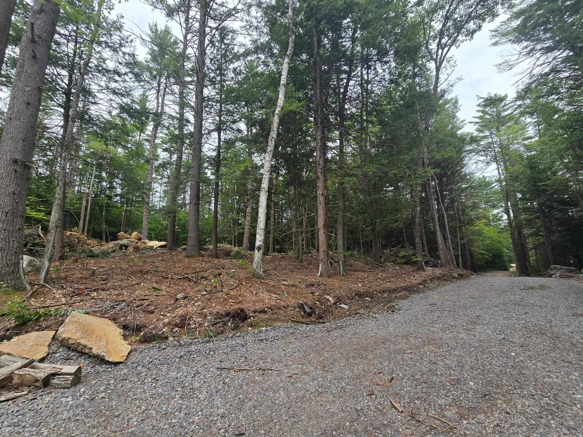 Lot 36 Beaver Dam Road Property Photo 7