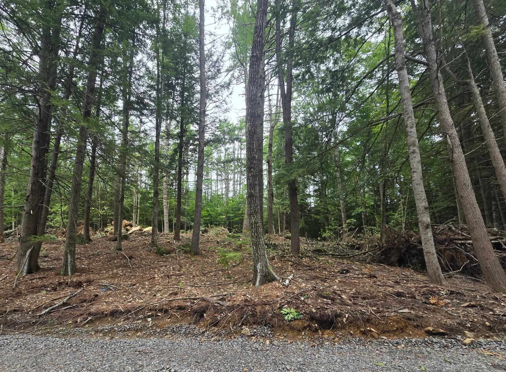 Lot 36 Beaver Dam Road Property Photo 8