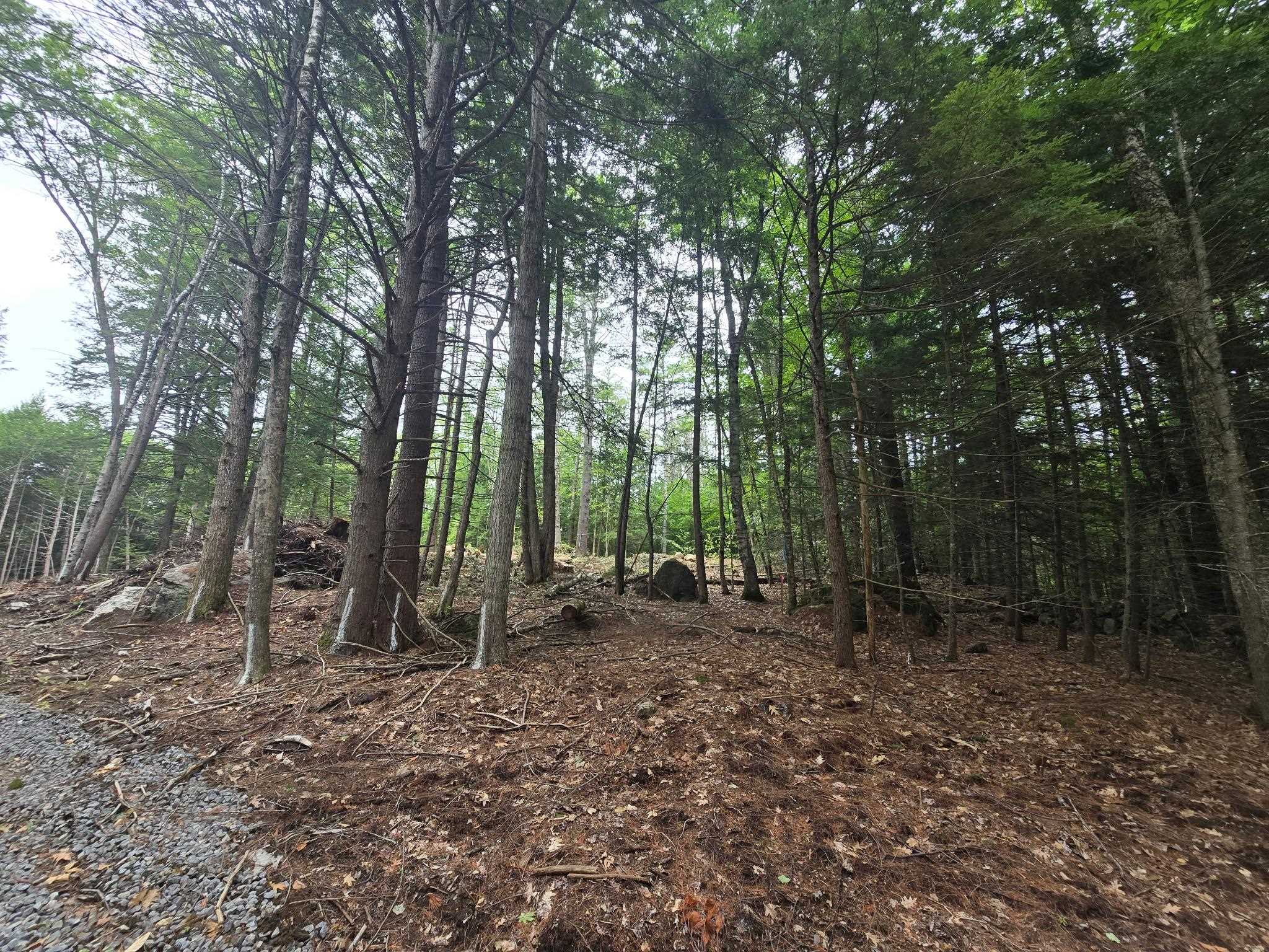 Lot 36 Beaver Dam Road Property Photo 9