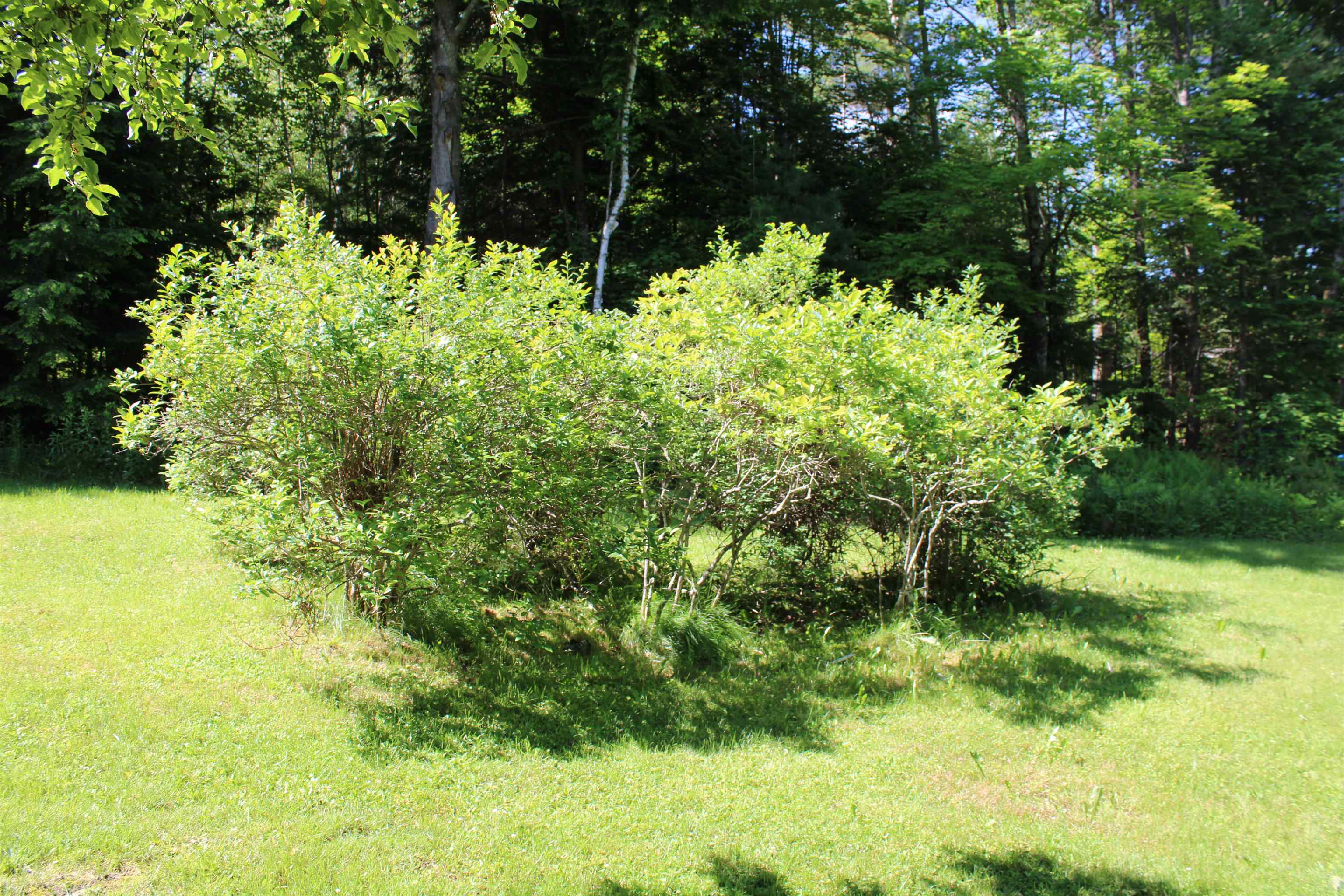 1579 Monroe Road Property Photo 2