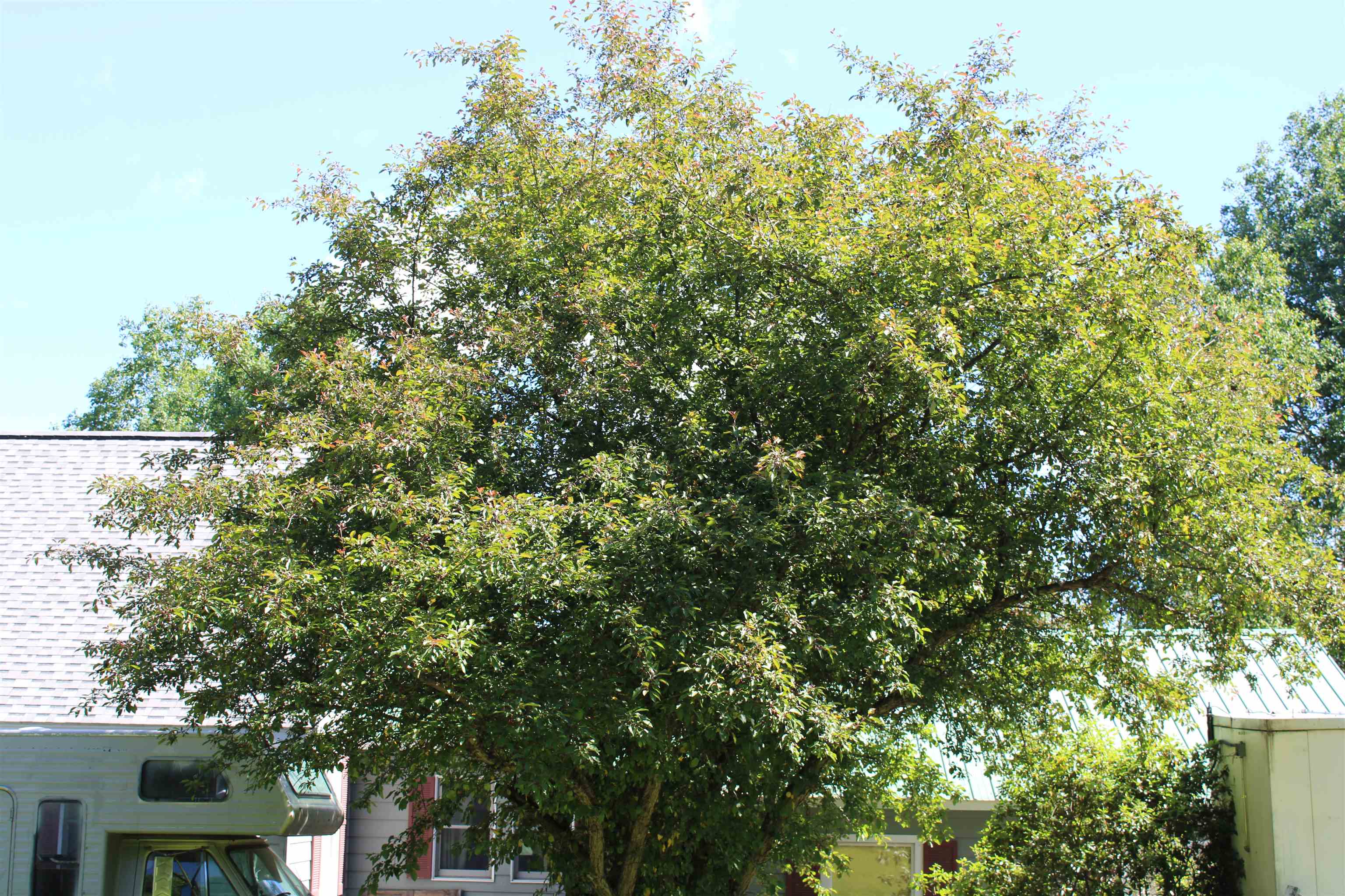 1579 Monroe Road Property Photo 4