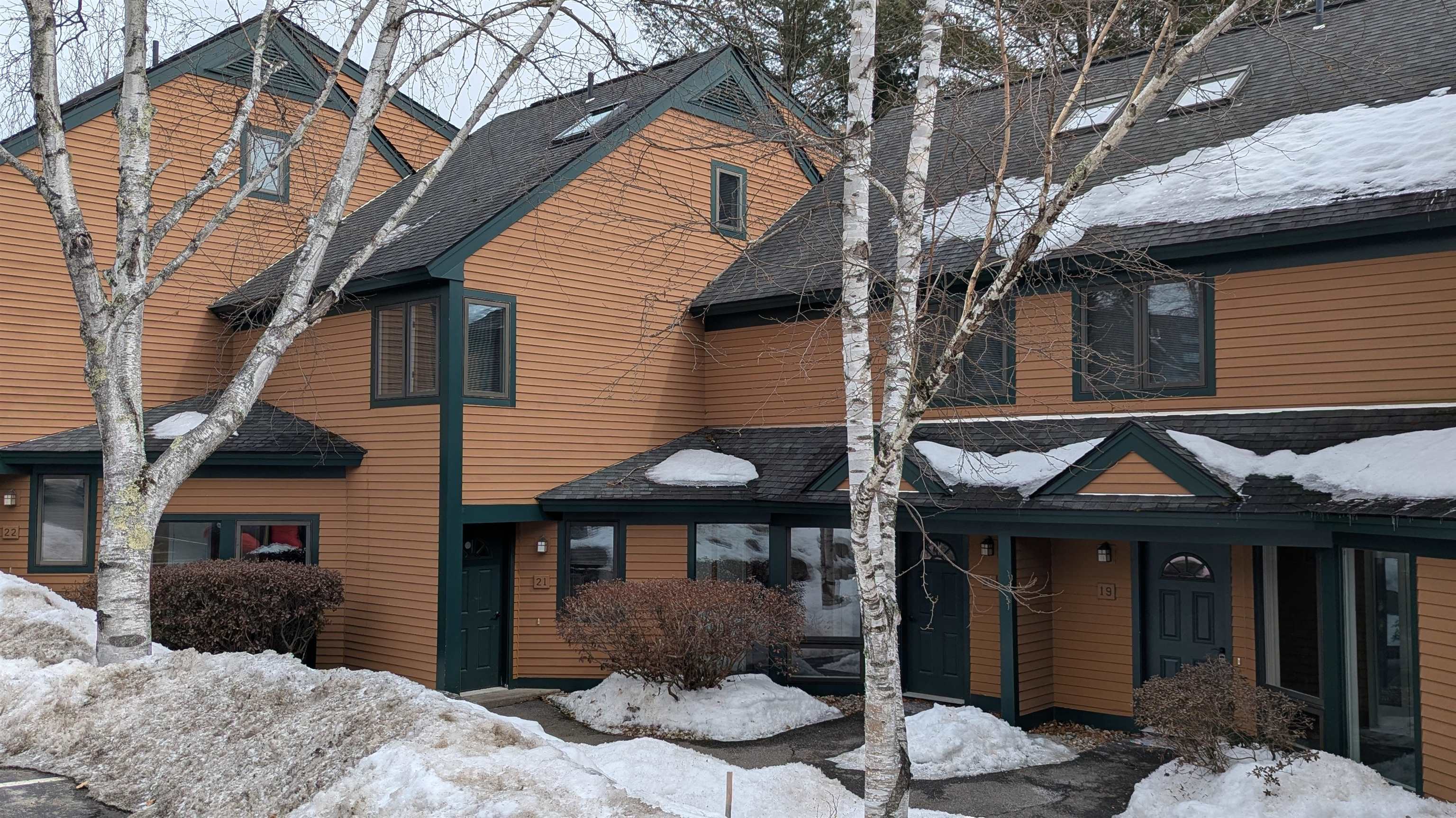 9 Mountain Sun Way Property Photo 3