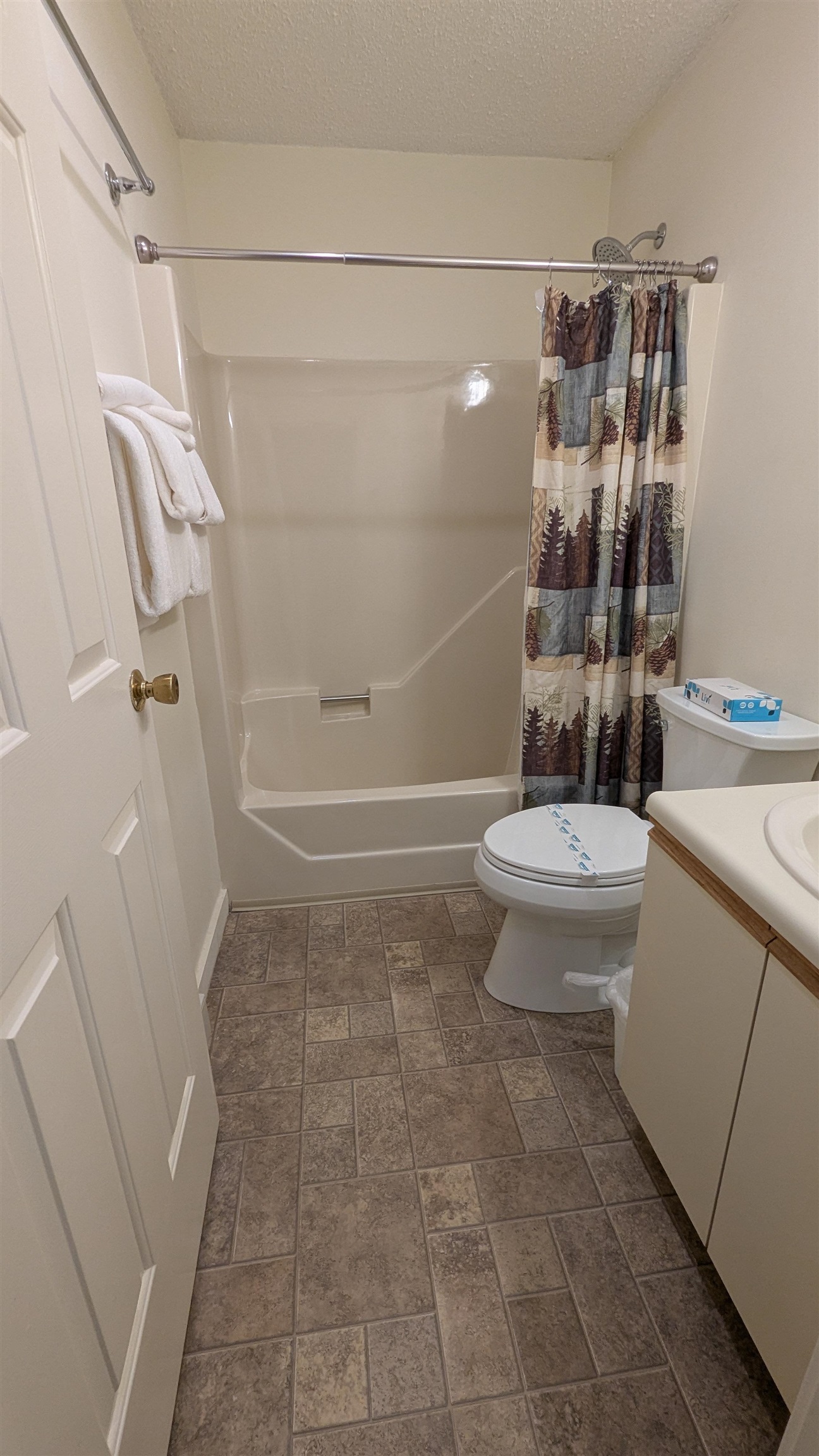 9 Mountain Sun Way Property Photo 30