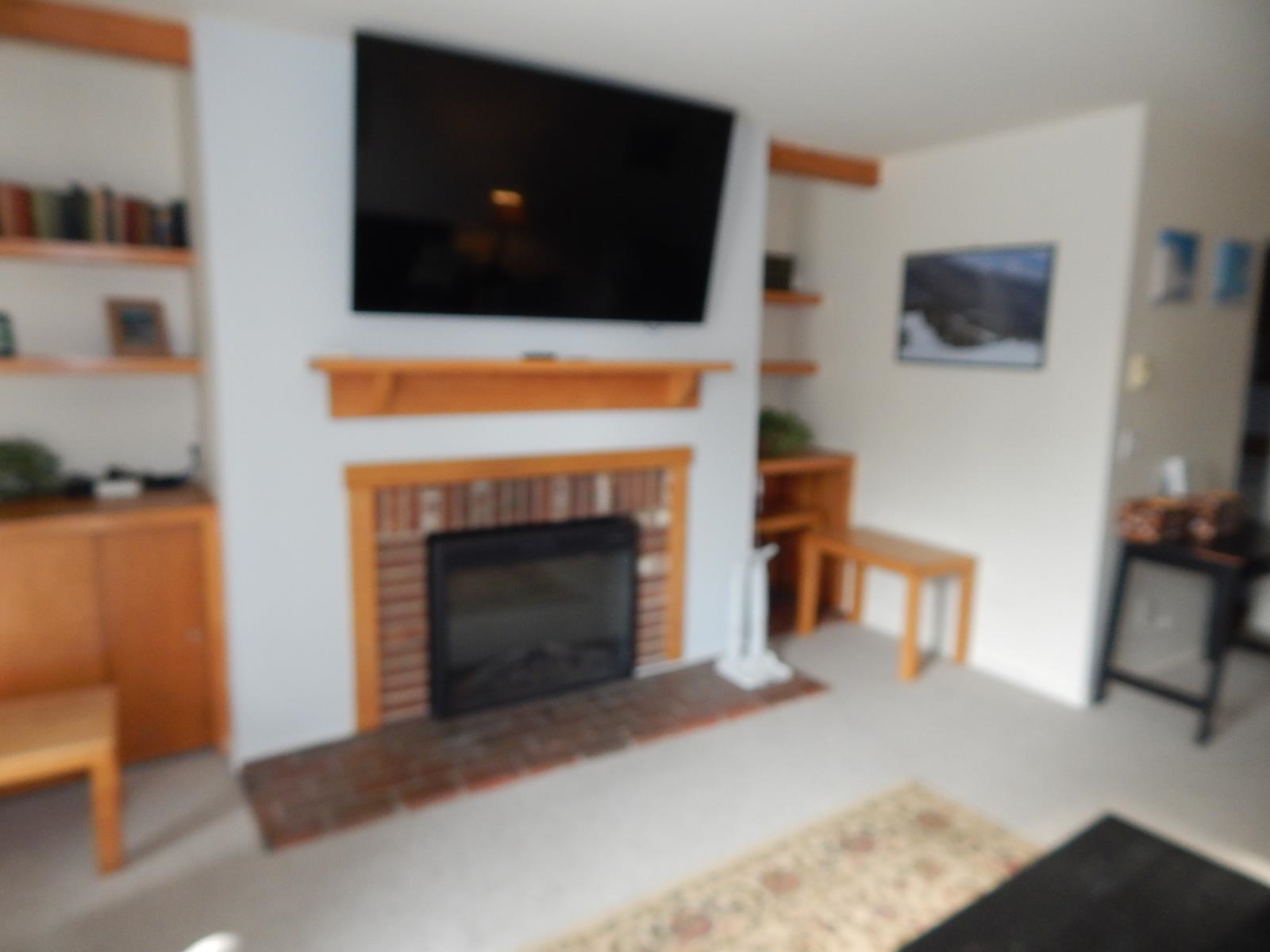 161 Mountainside Drive Property Photo 3