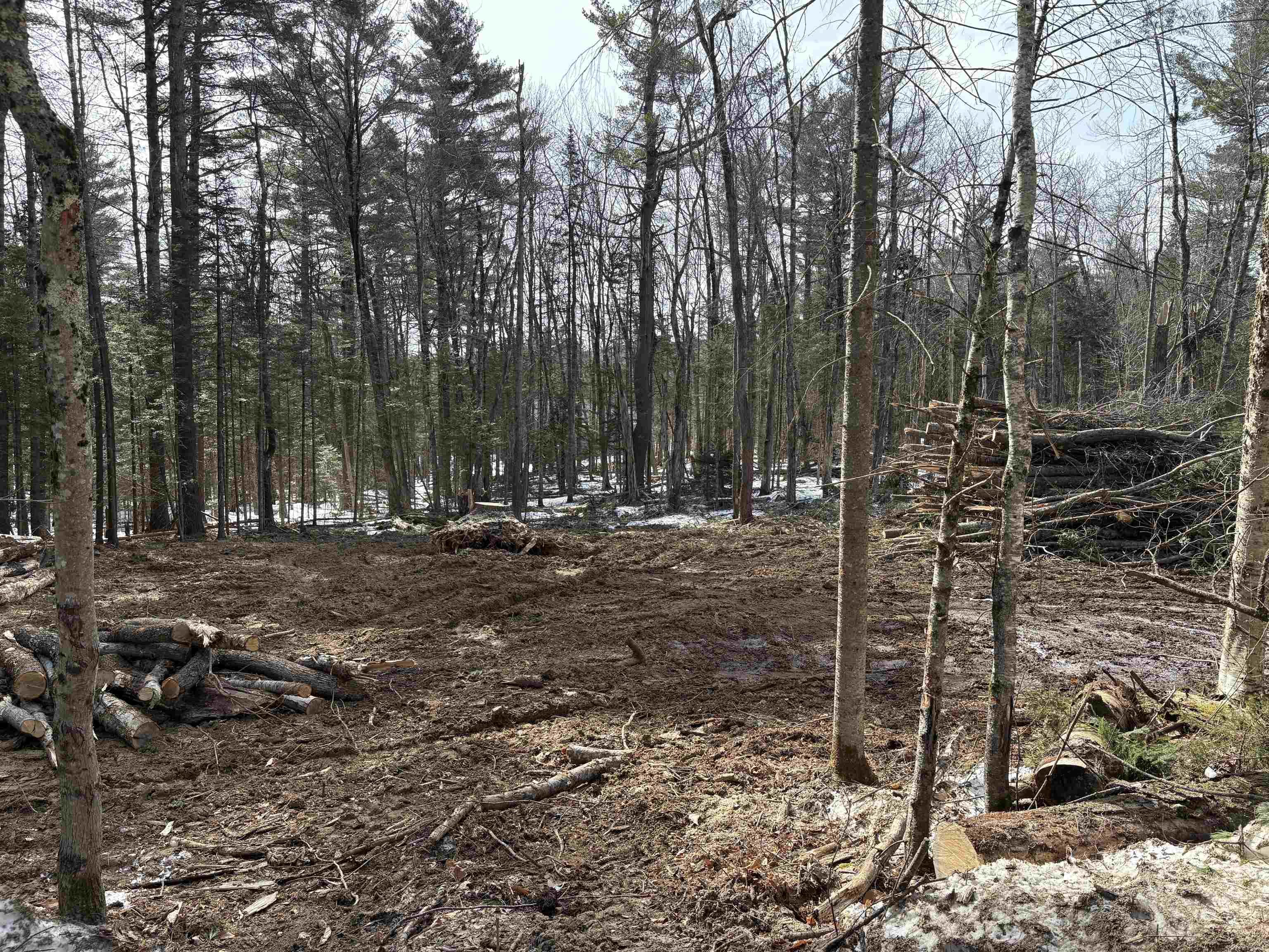 Presidential Drive Property Photo 2