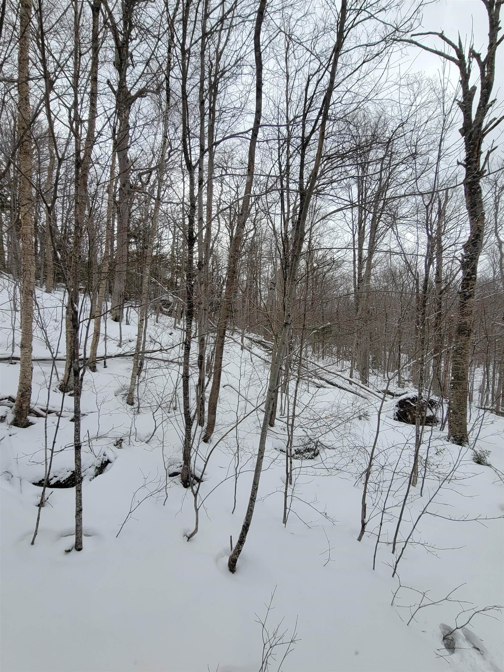 845 Bailey Hill Road Property Photo 32