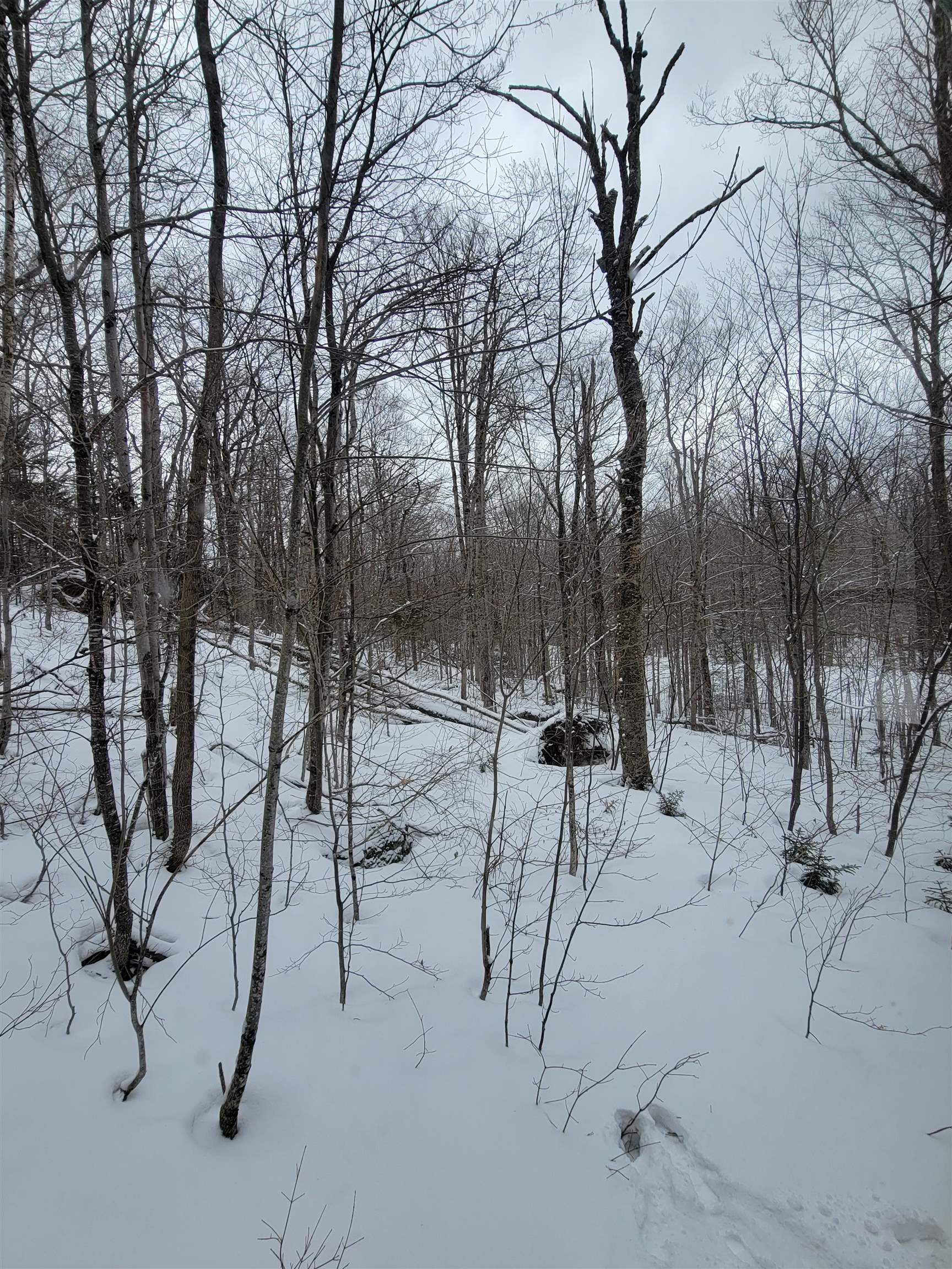 845 Bailey Hill Road Property Photo 34