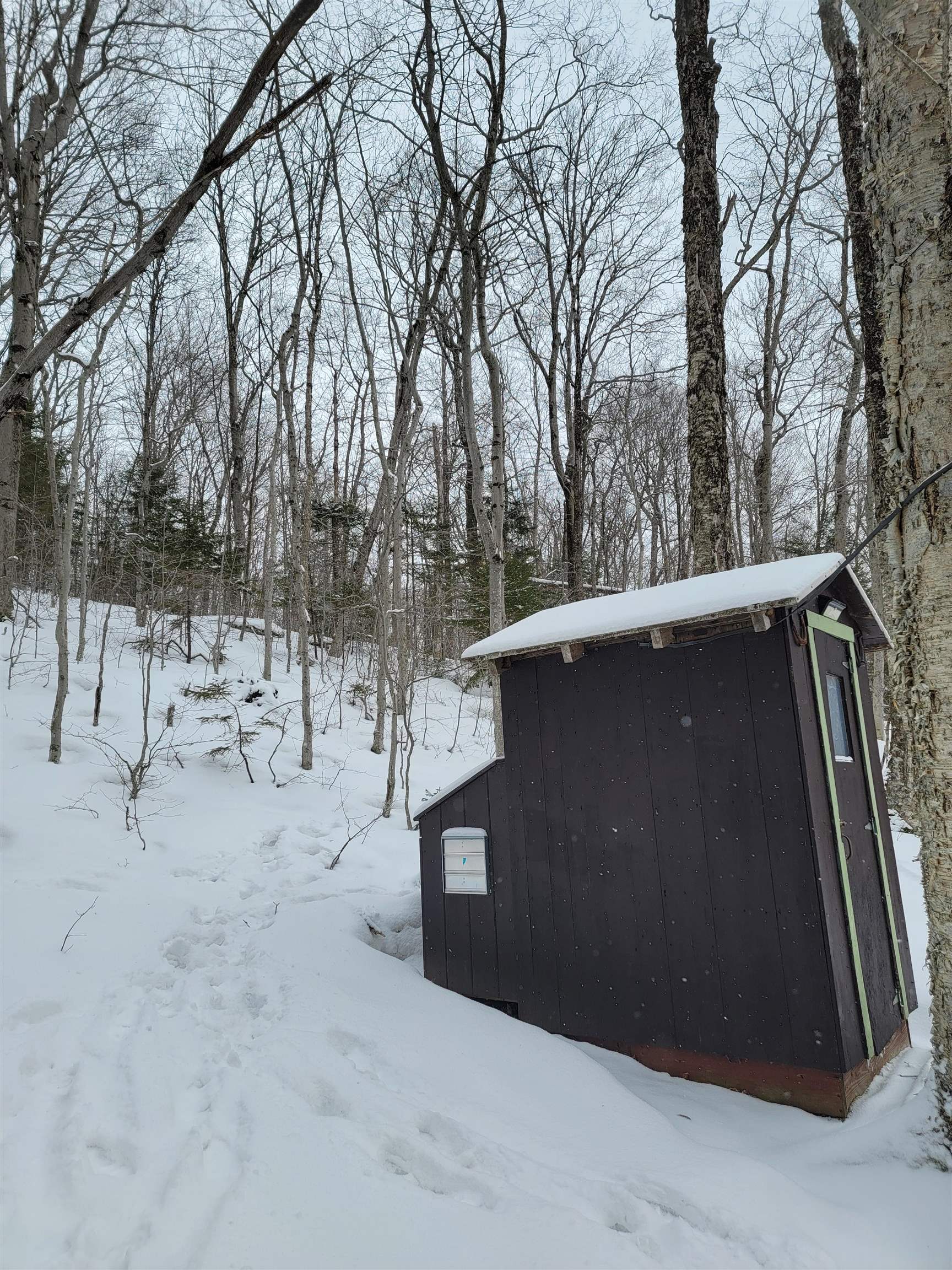 845 Bailey Hill Road Property Photo 49
