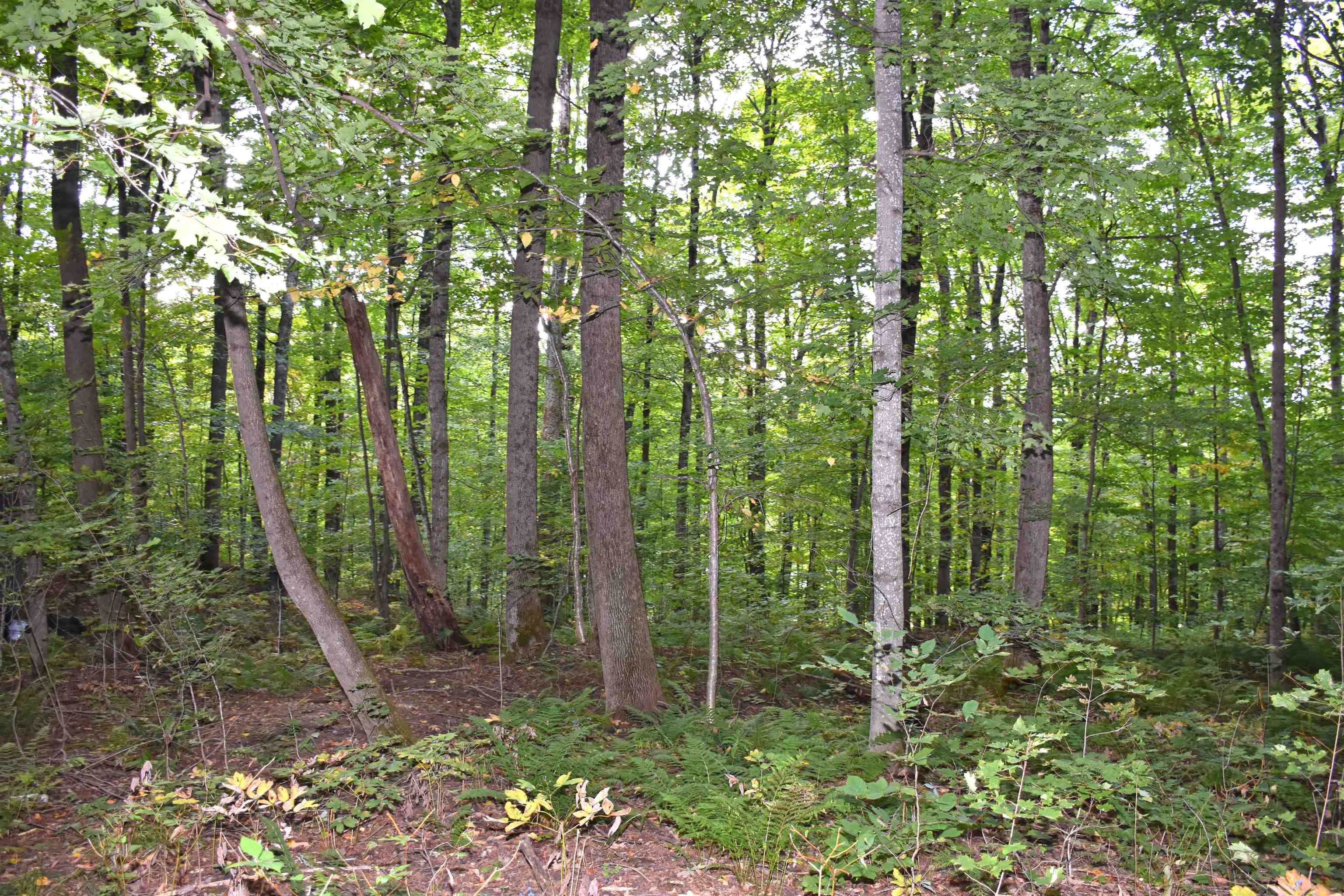 397 Winch Hill Extension Property Photo 33