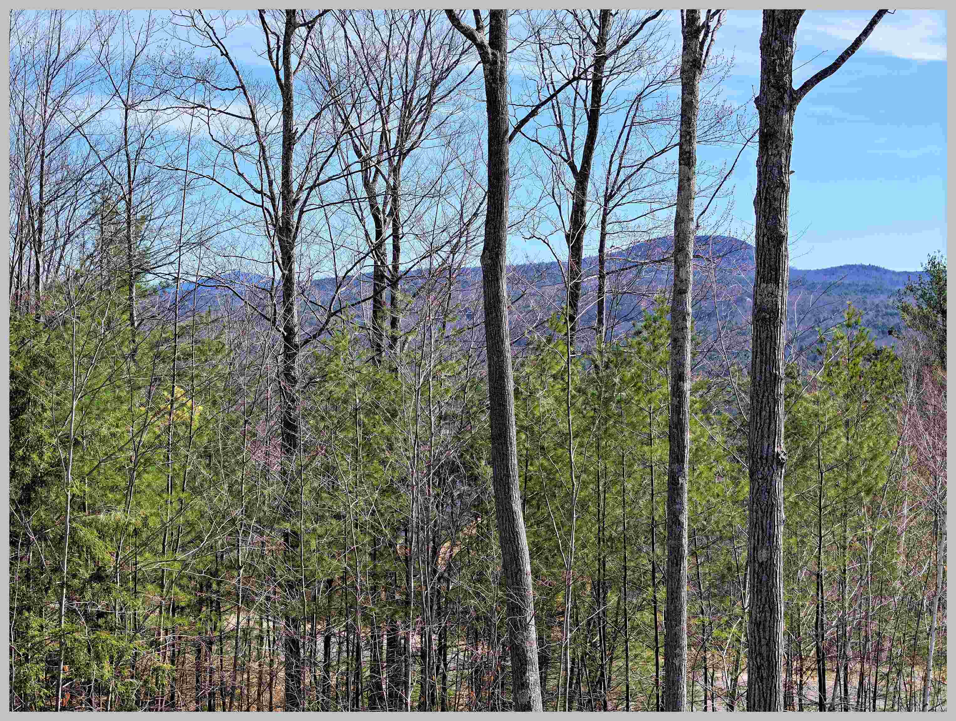 Lot 22 Ski Lift Lane Property Photo 14