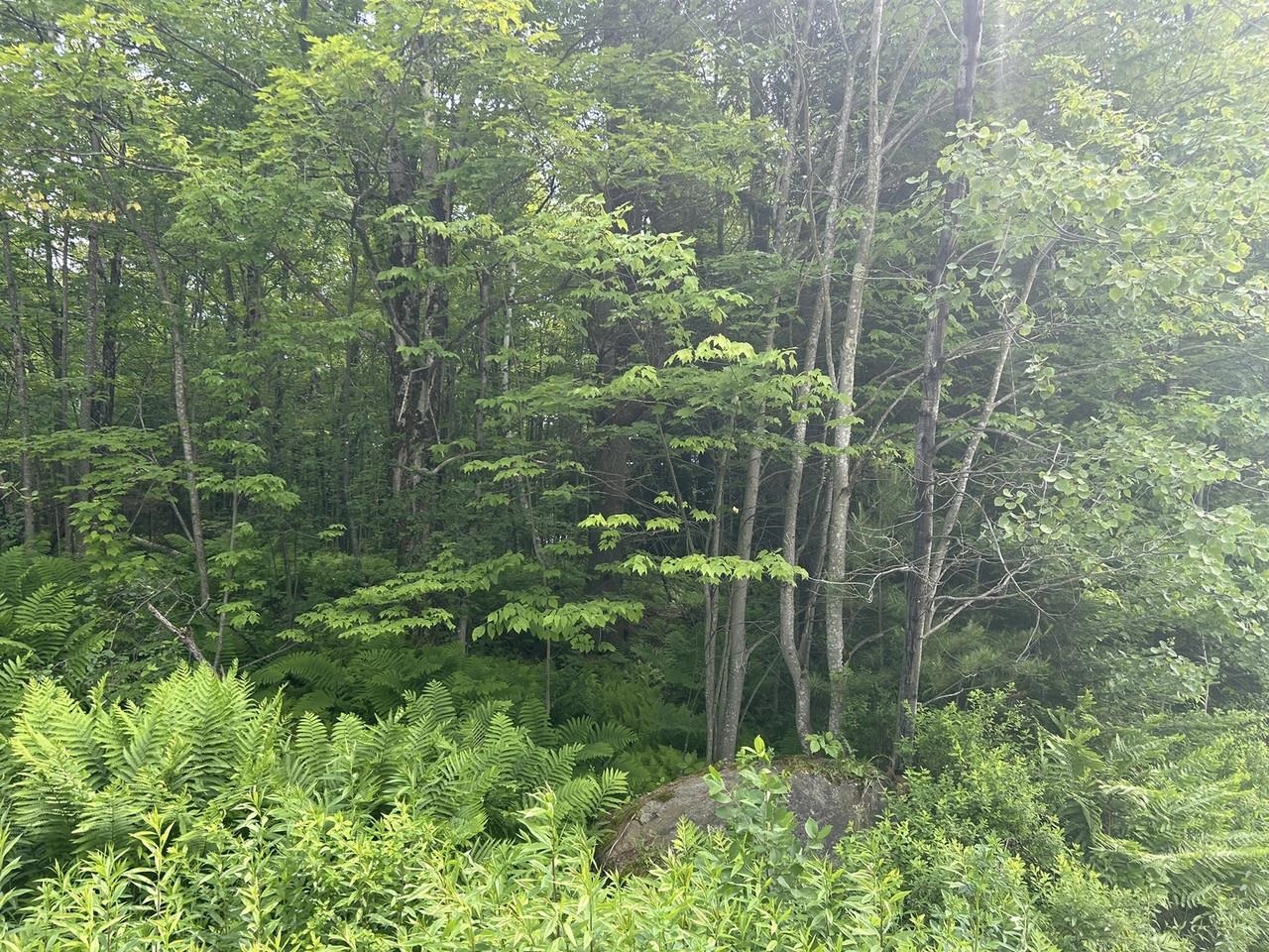 0 Rushford Valley Road Property Photo 7