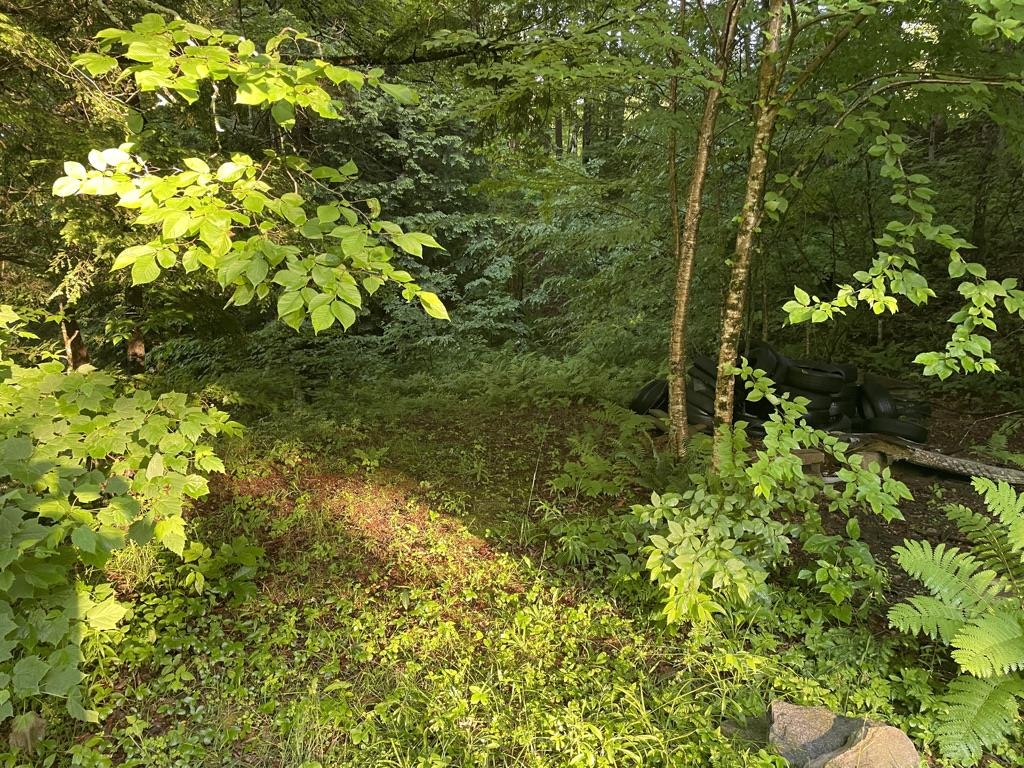 46 #2 Benton Road Property Photo 25