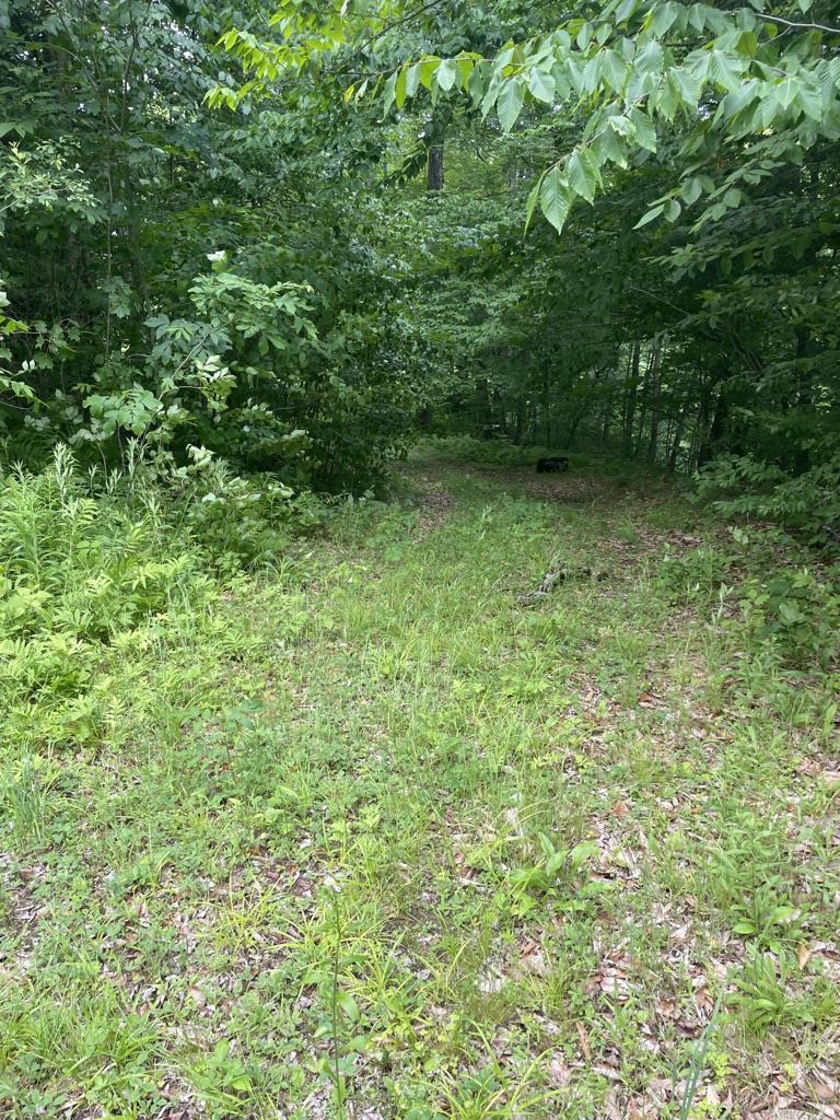 46 #2 Benton Road Property Photo 26