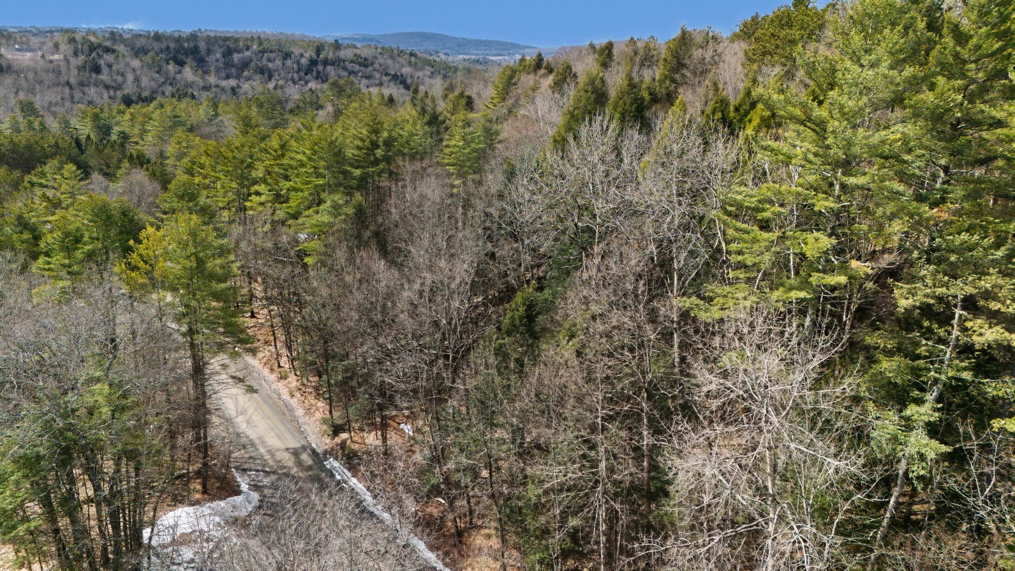 138 Shepardson Hollow Road Property Photo 11