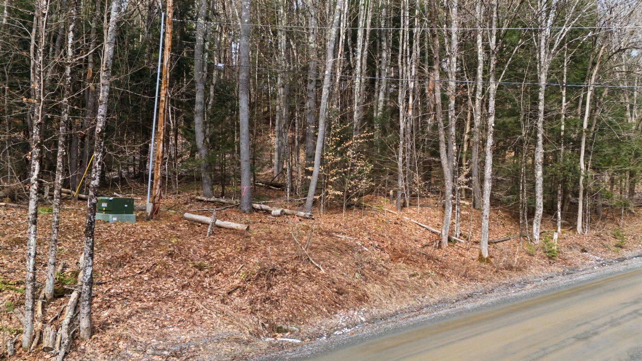 138 Shepardson Hollow Road Property Photo 13