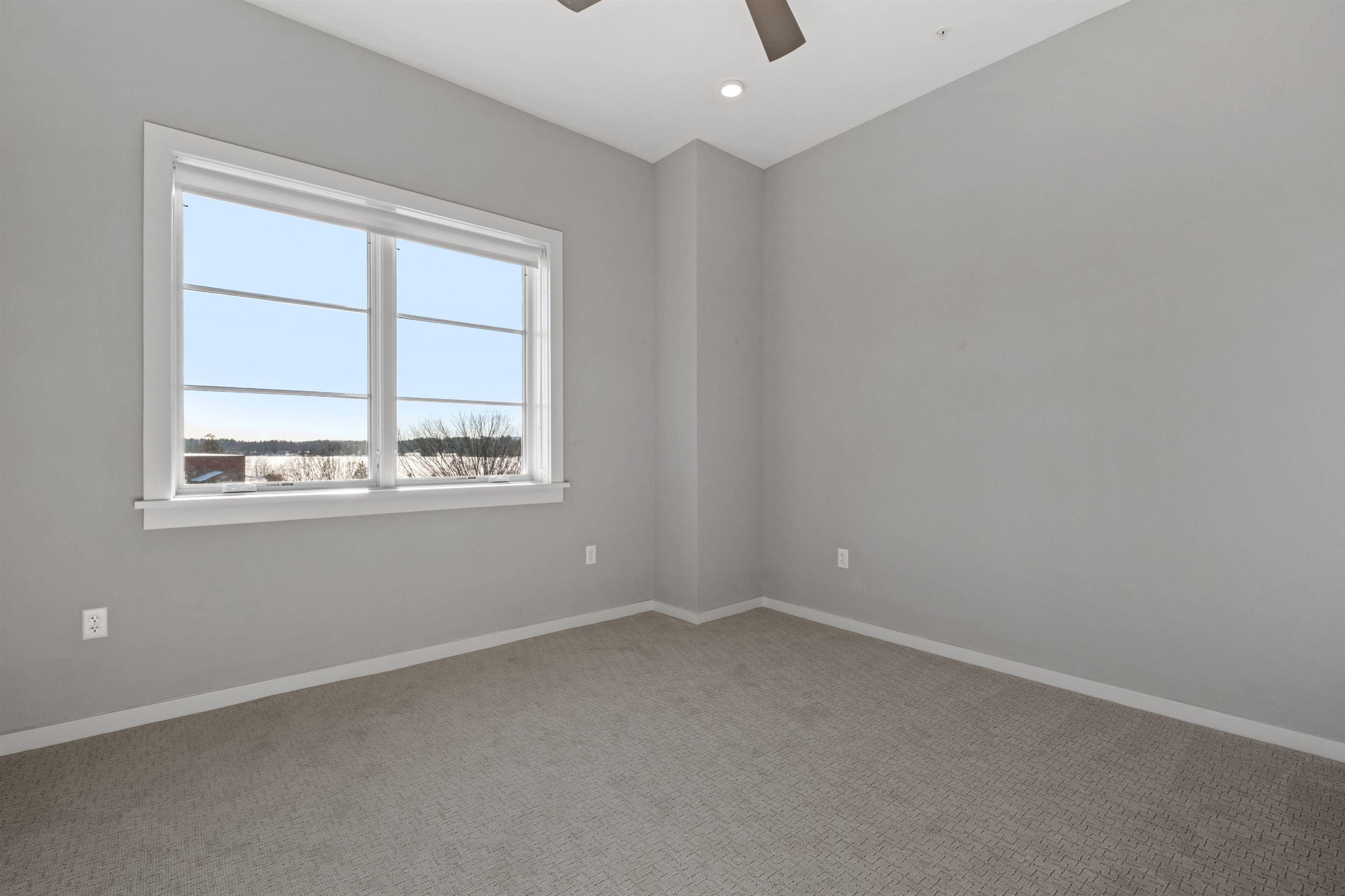 51 Elm Street Property Photo 15