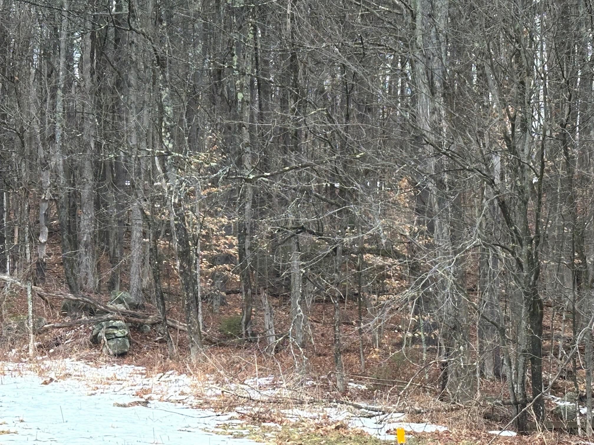 New Hampshire Route 119 Property Photo 3