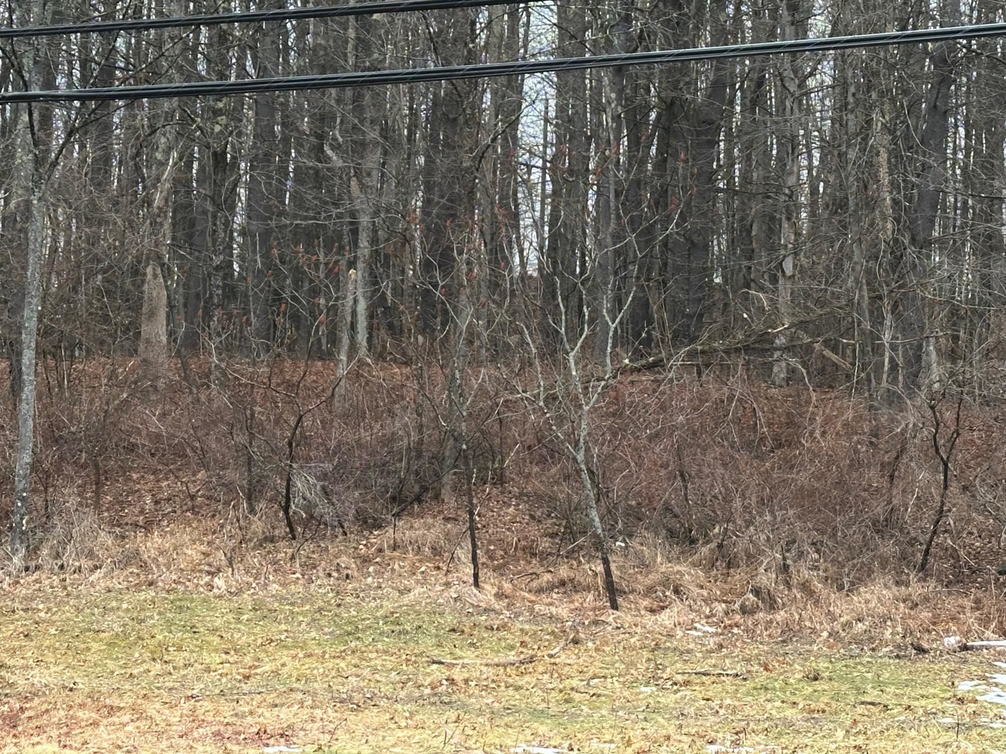 New Hampshire Route 119 Property Photo 4