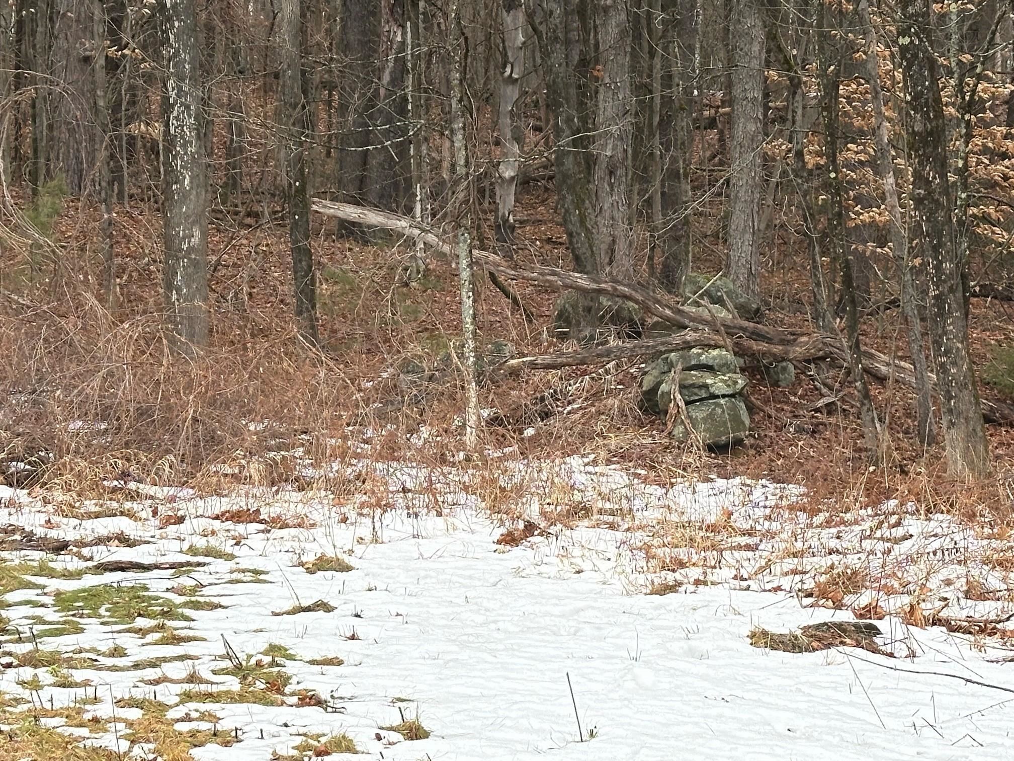 New Hampshire Route 119 Property Photo 5