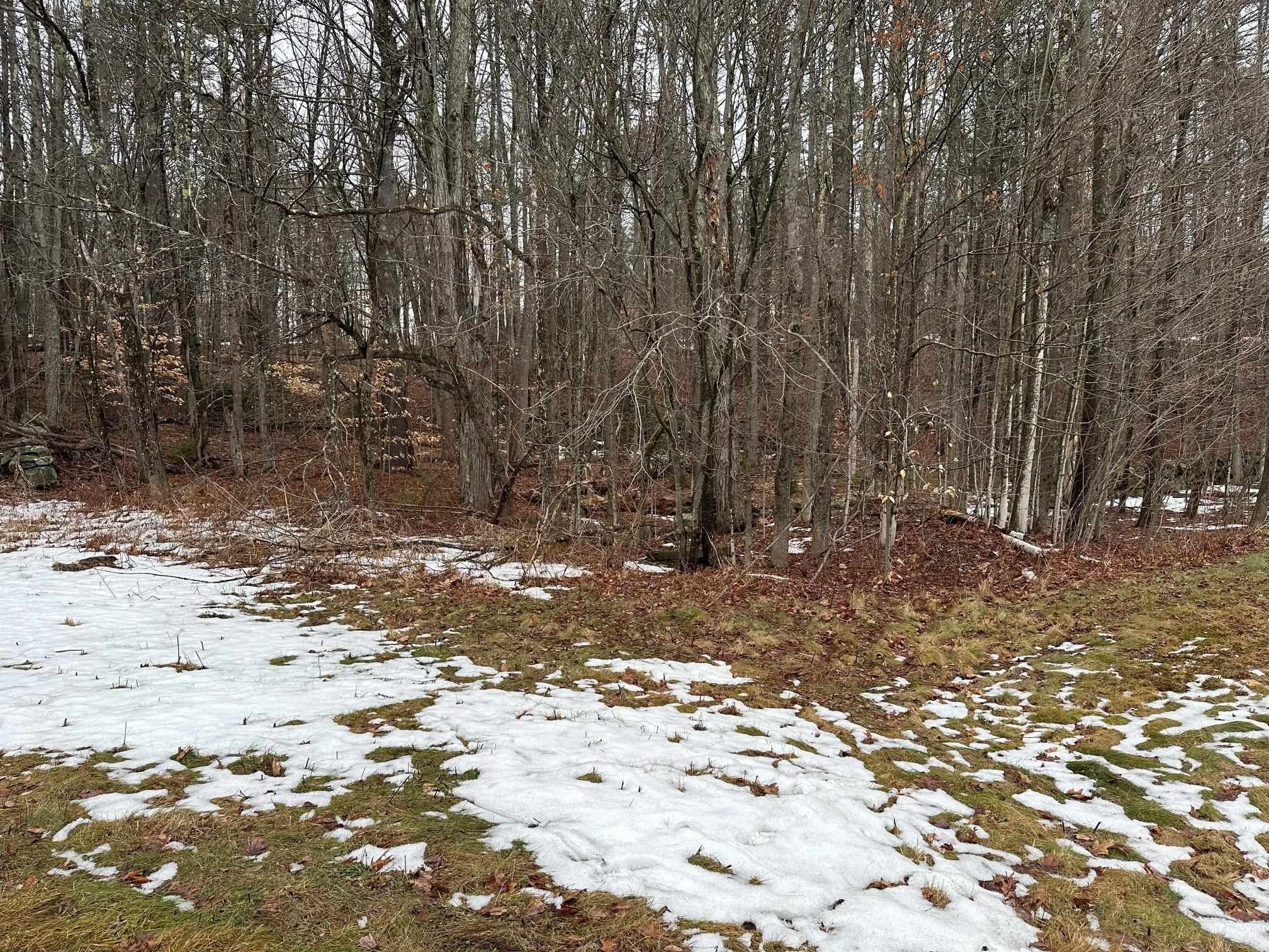 New Hampshire Route 119 Property Photo 7