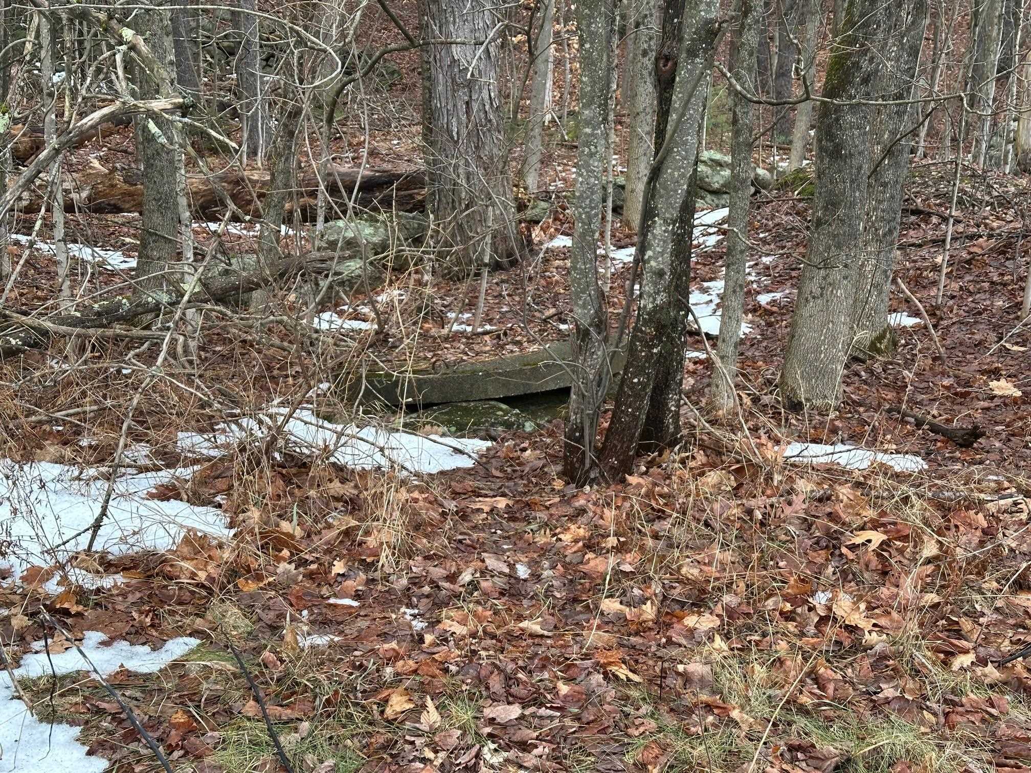 New Hampshire Route 119 Property Photo 10