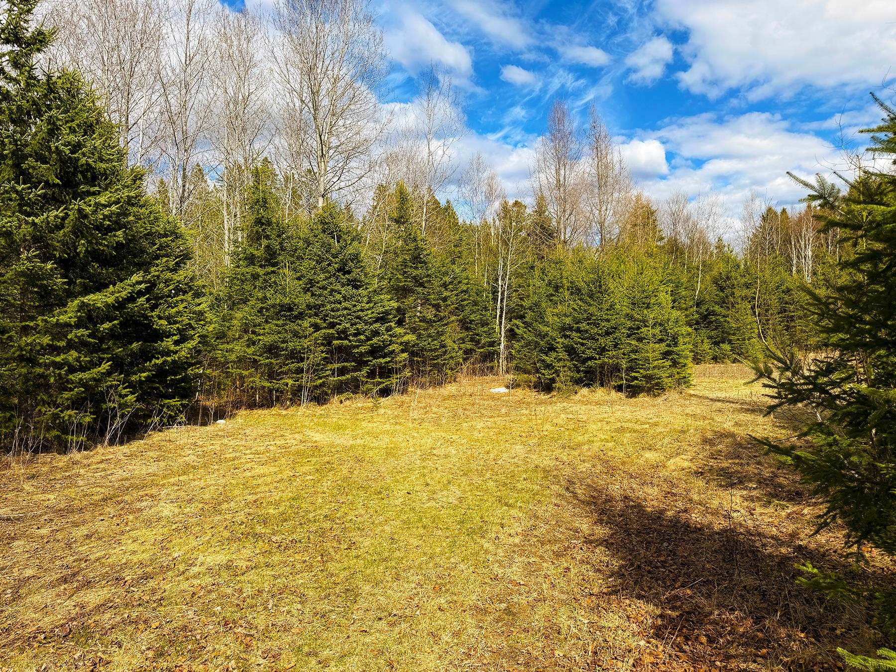 Tm 253 L 30 Hazen Drive Property Photo 18