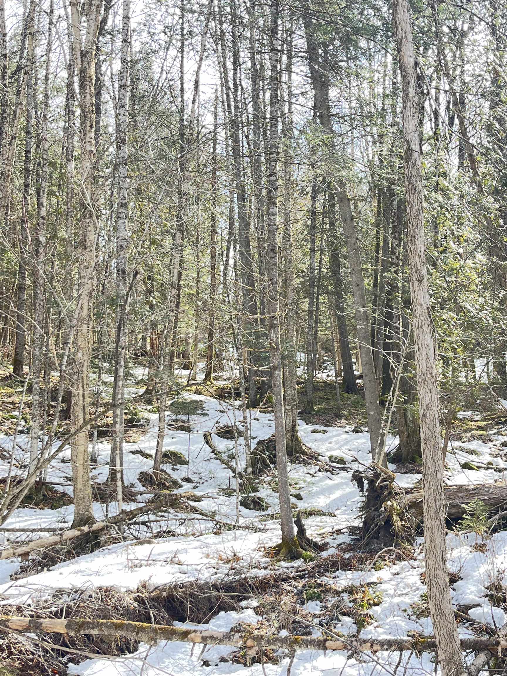 0 Hollow Road Property Photo 4