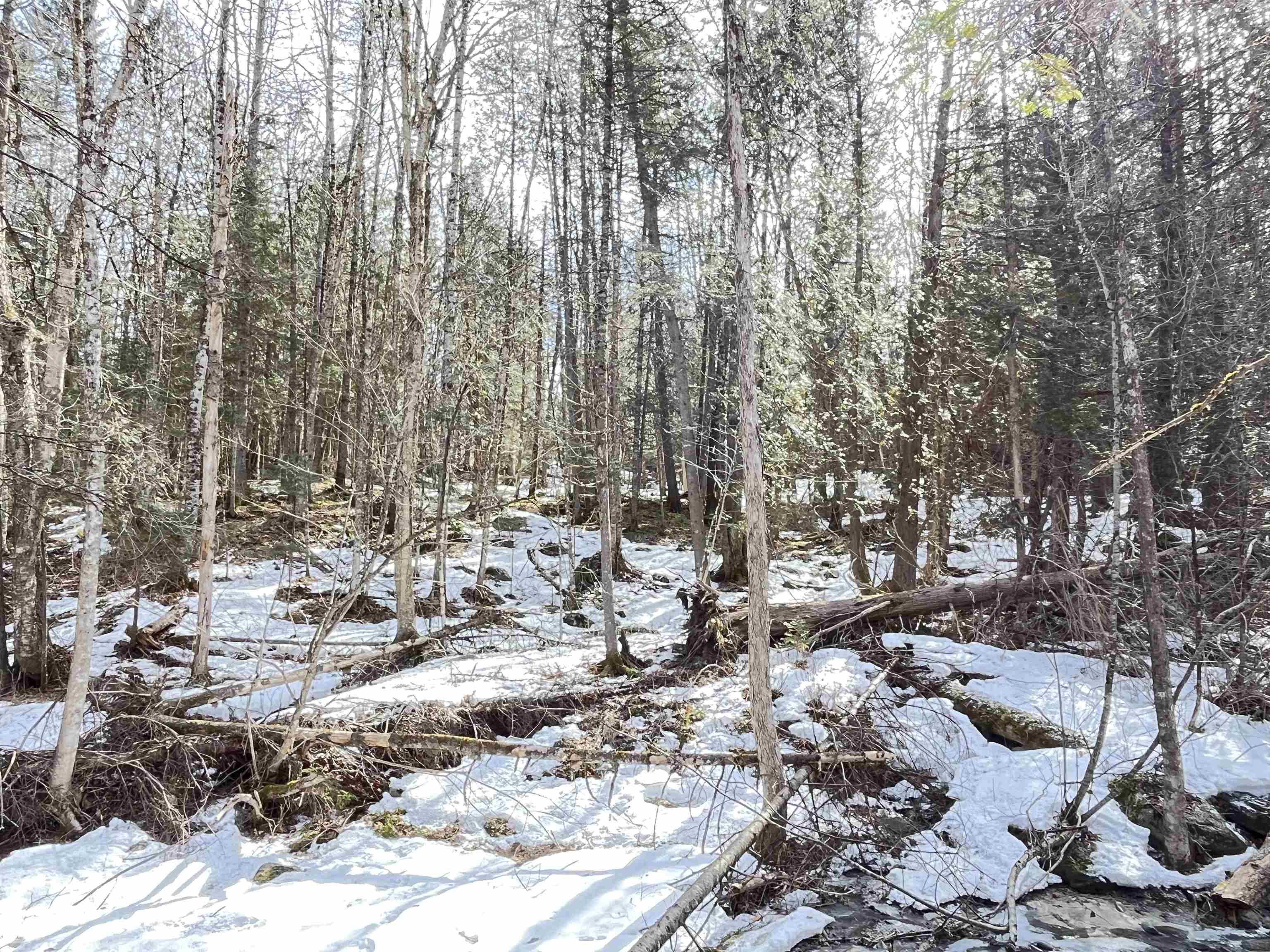 0 Hollow Road Property Photo 6