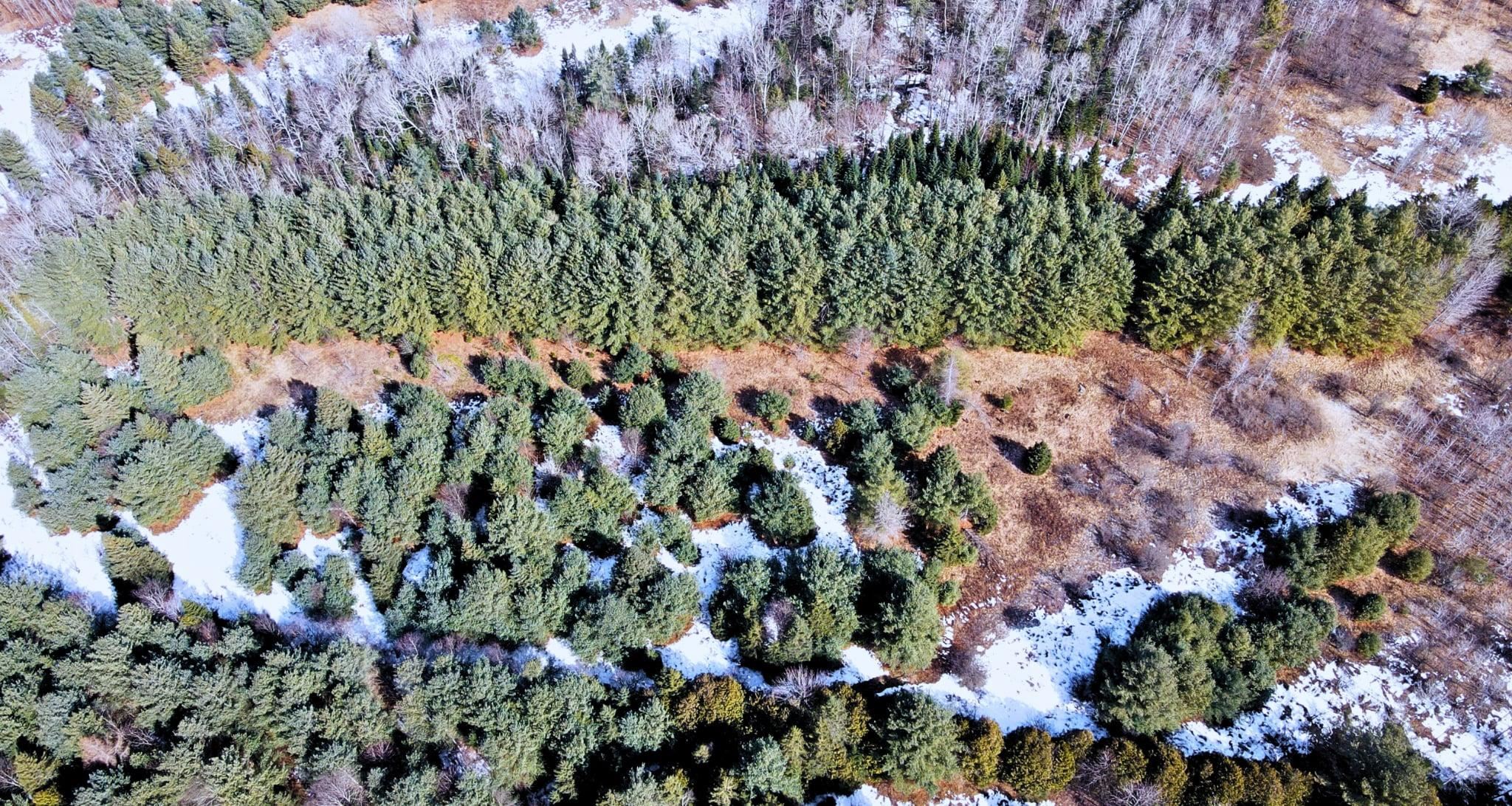 0 Hollow Road Property Photo 7