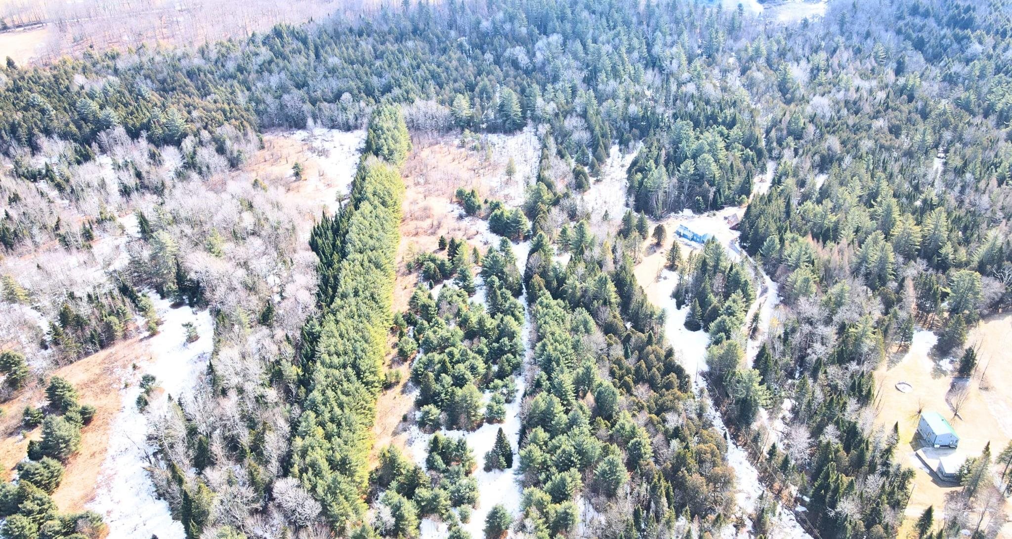 0 Hollow Road Property Photo 8