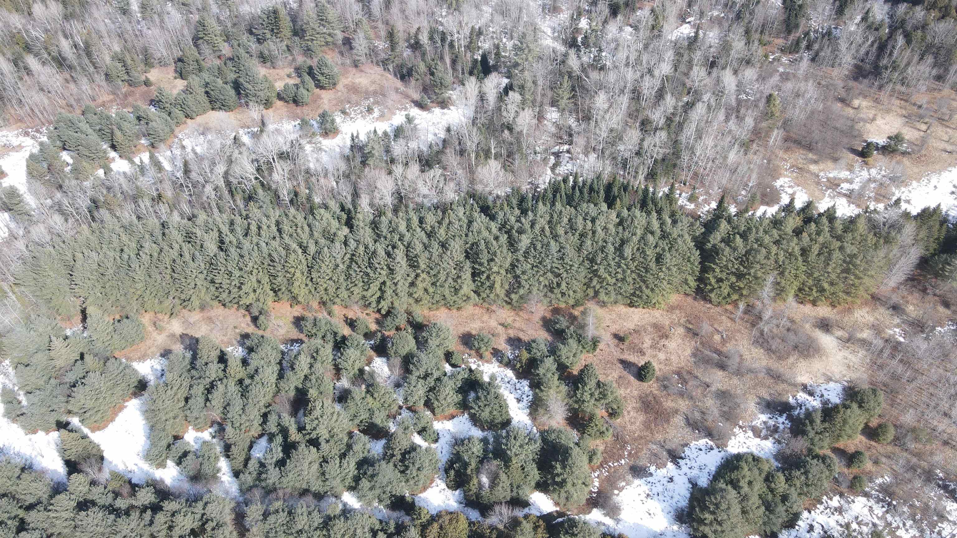 0 Hollow Road Property Photo 16
