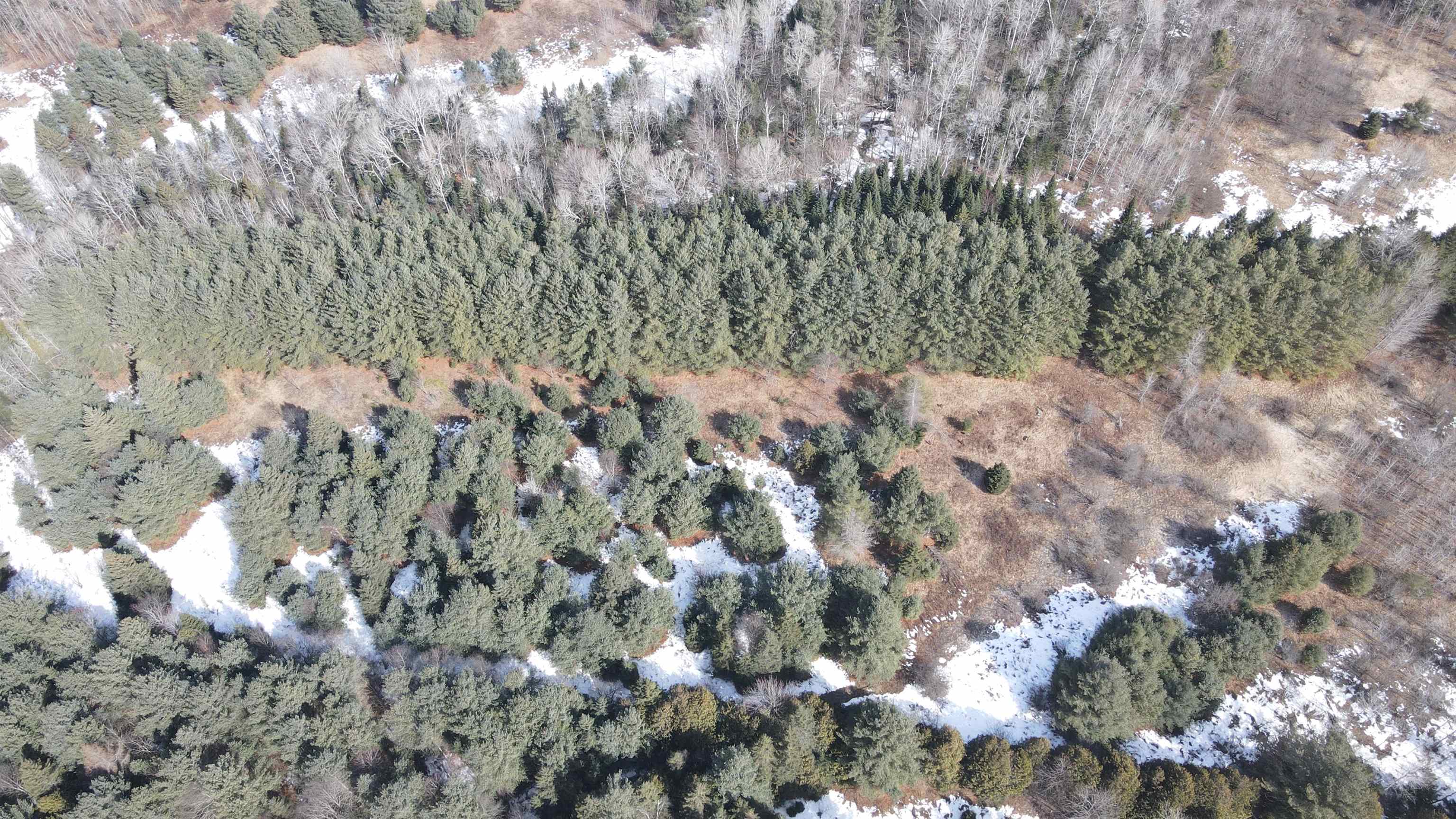0 Hollow Road Property Photo 17
