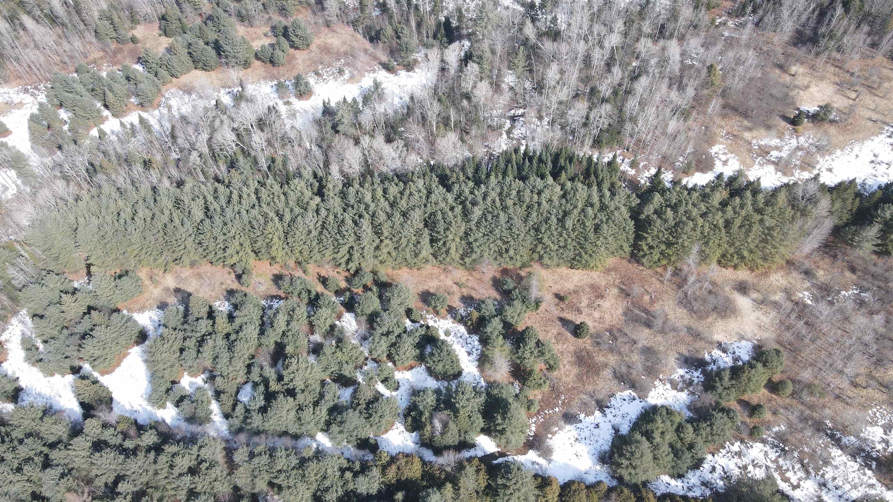 0 Hollow Road Property Photo 18