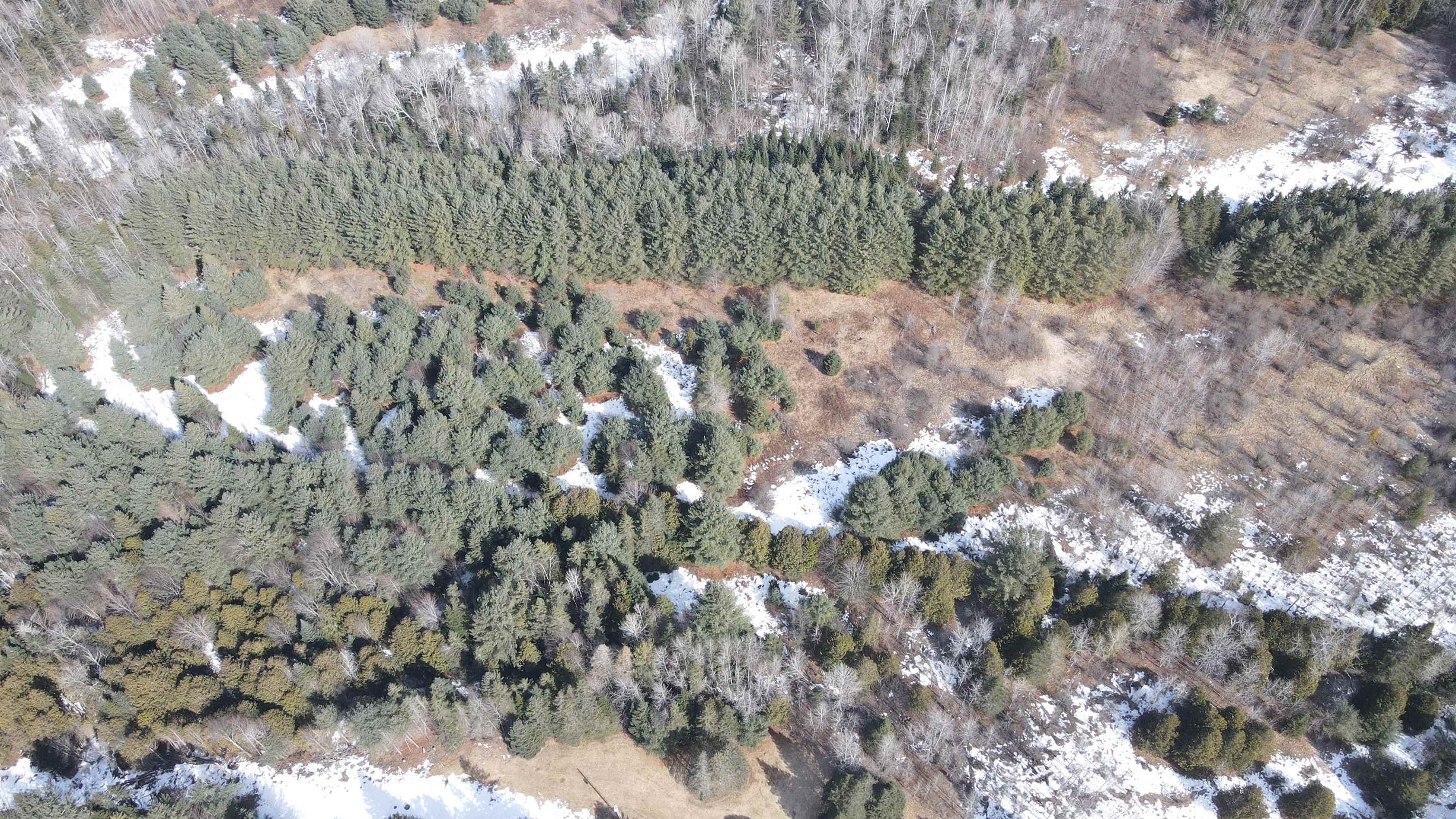 0 Hollow Road Property Photo 20