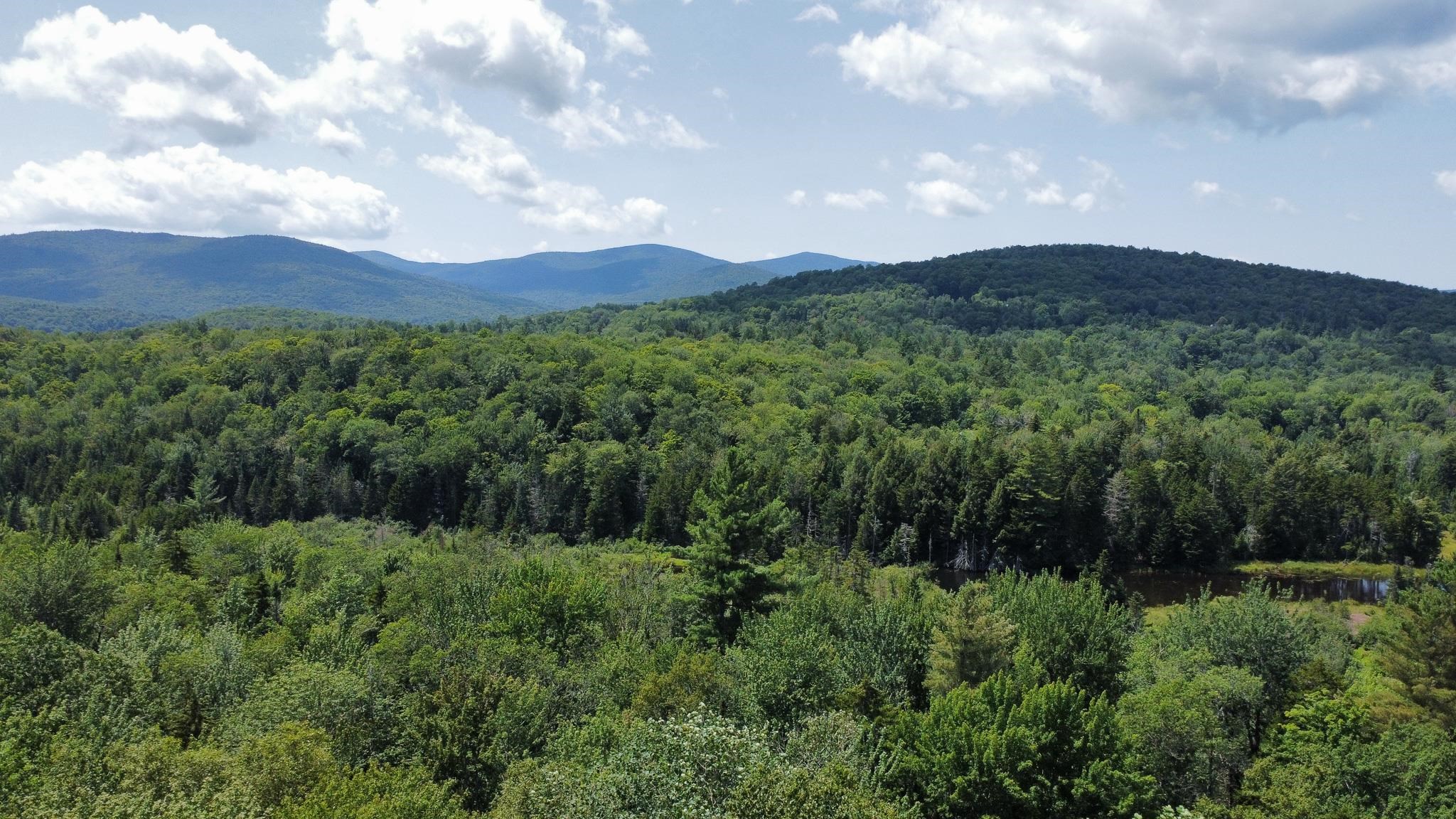 00 Prickly Mountain Road Property Photo 2