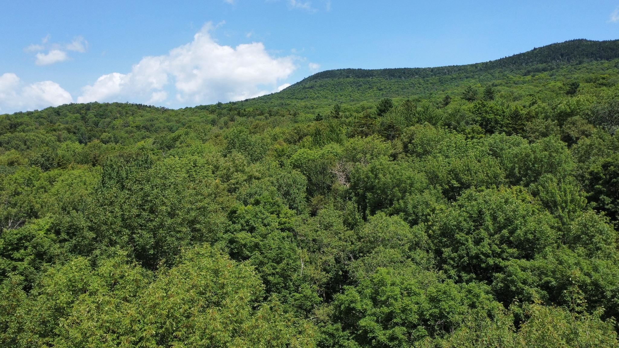 00 Prickly Mountain Road Property Photo 6