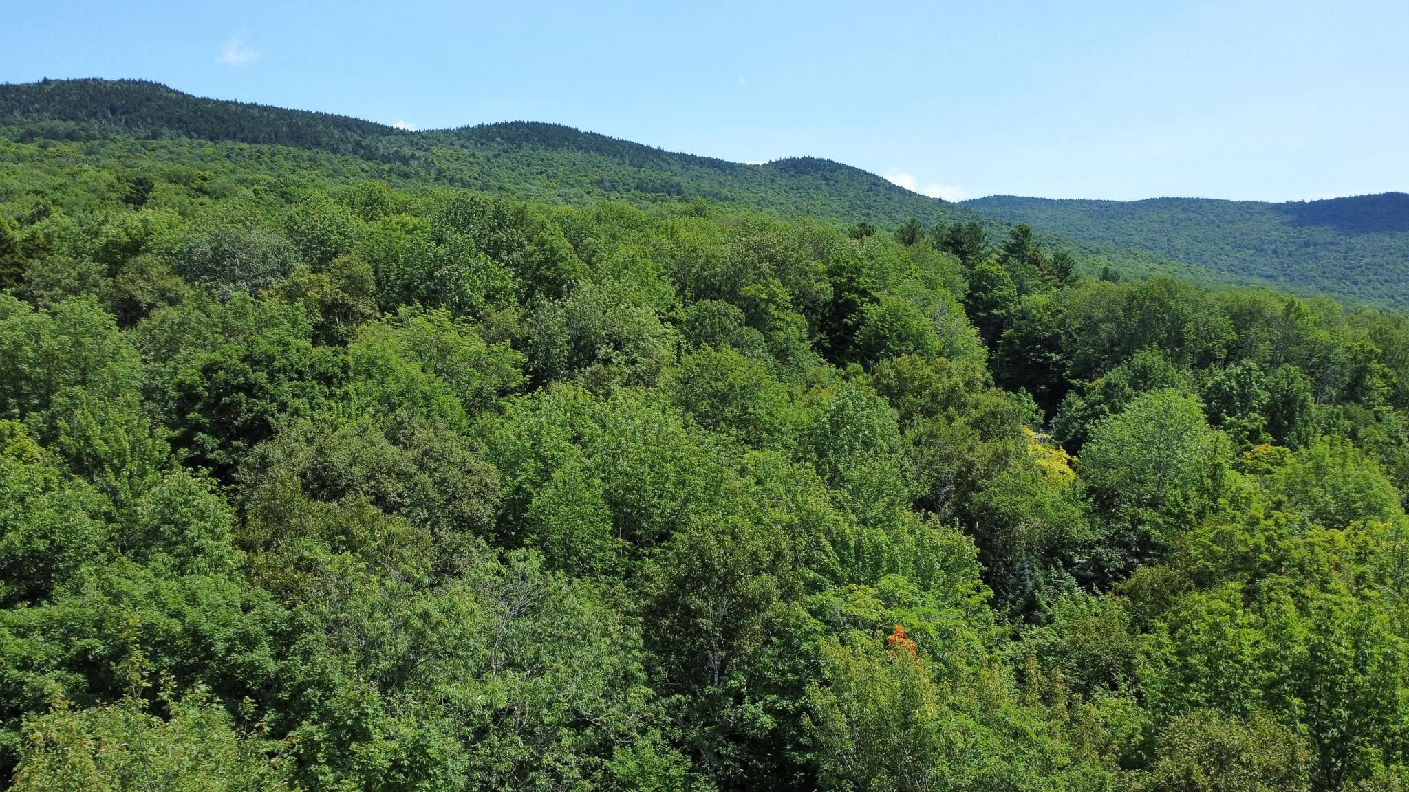 00 Prickly Mountain Road Property Photo 7