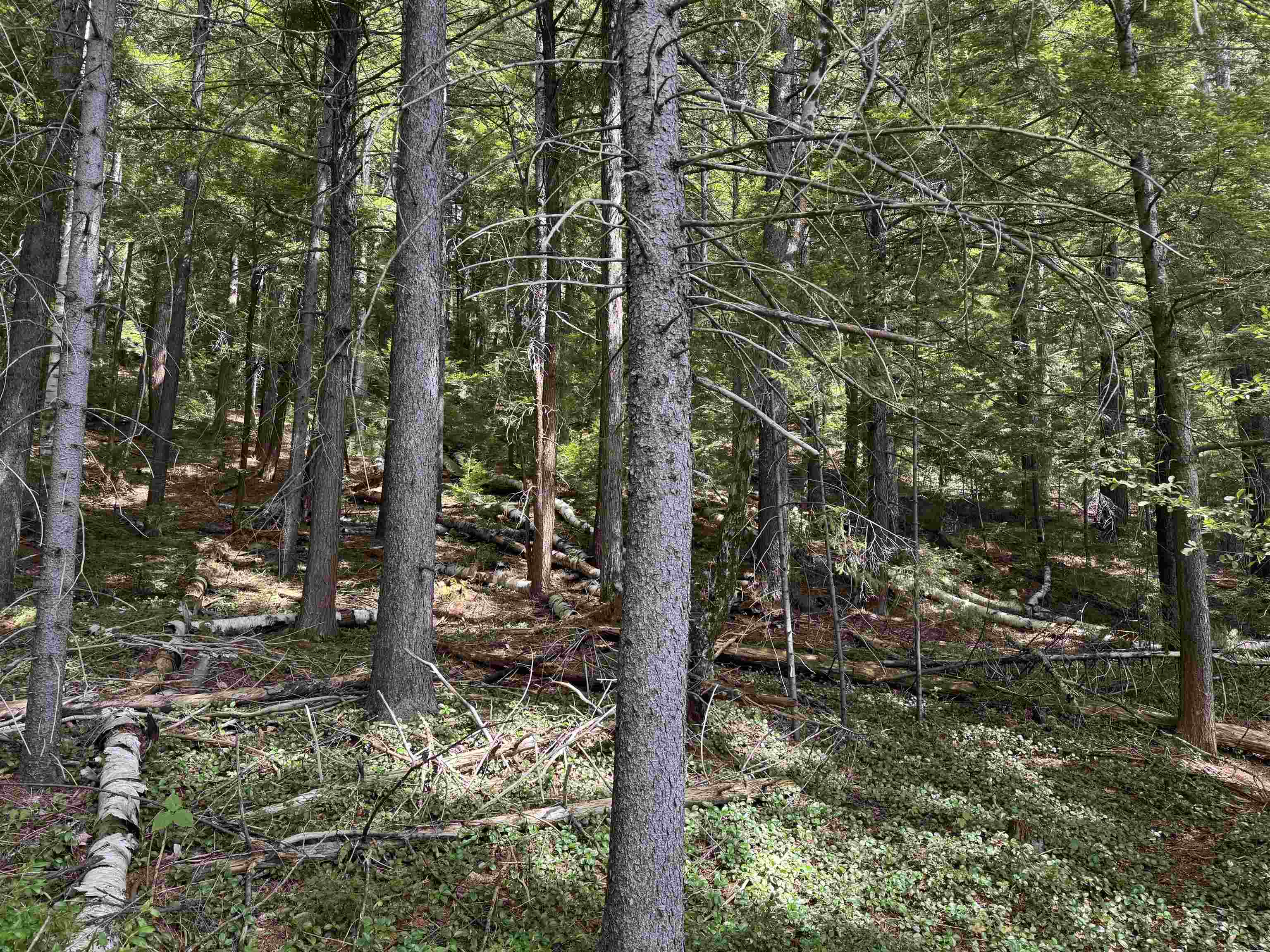 00 Lake Hill Road Property Photo 8