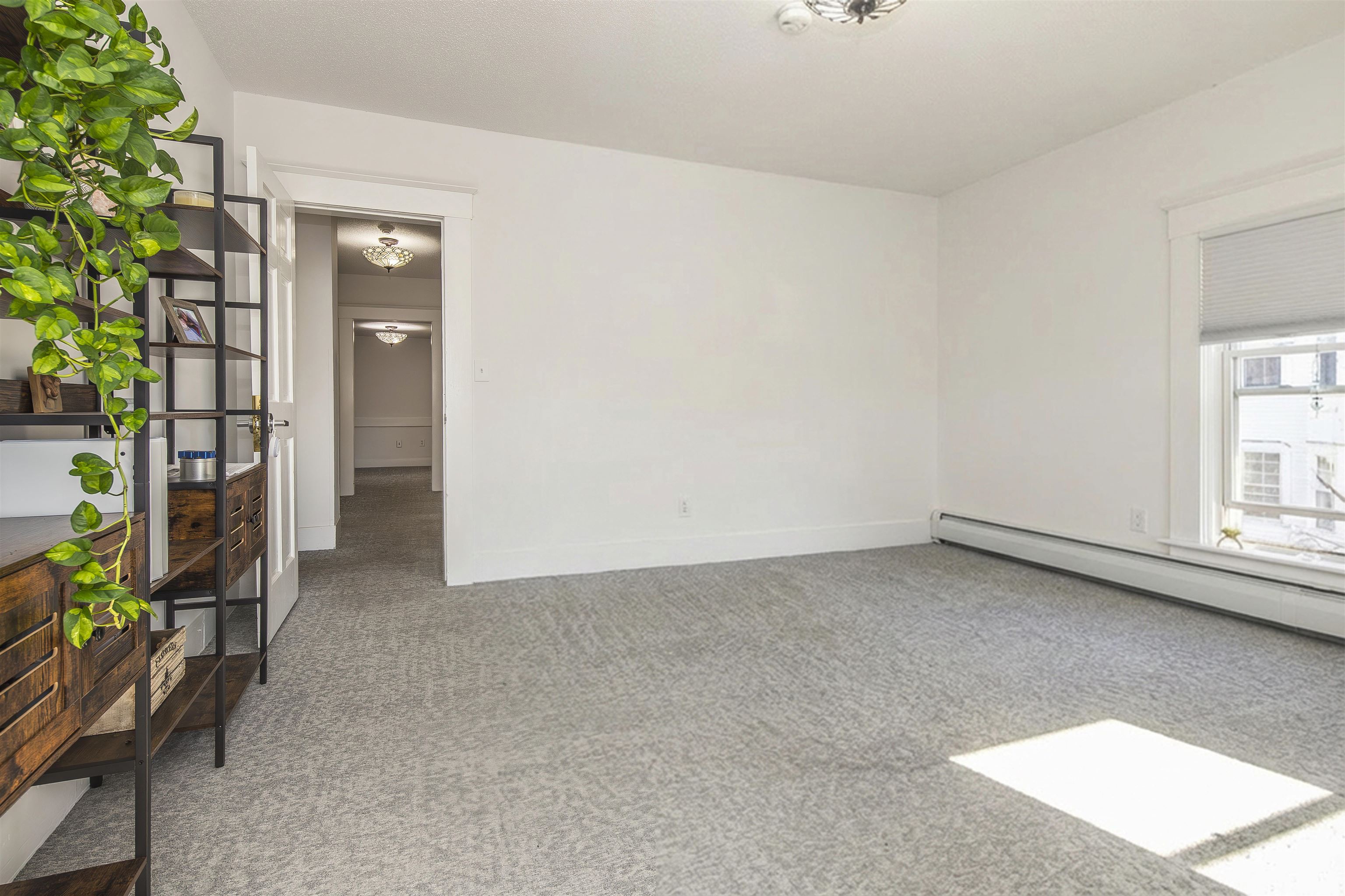 7 Royce Street Property Photo 22