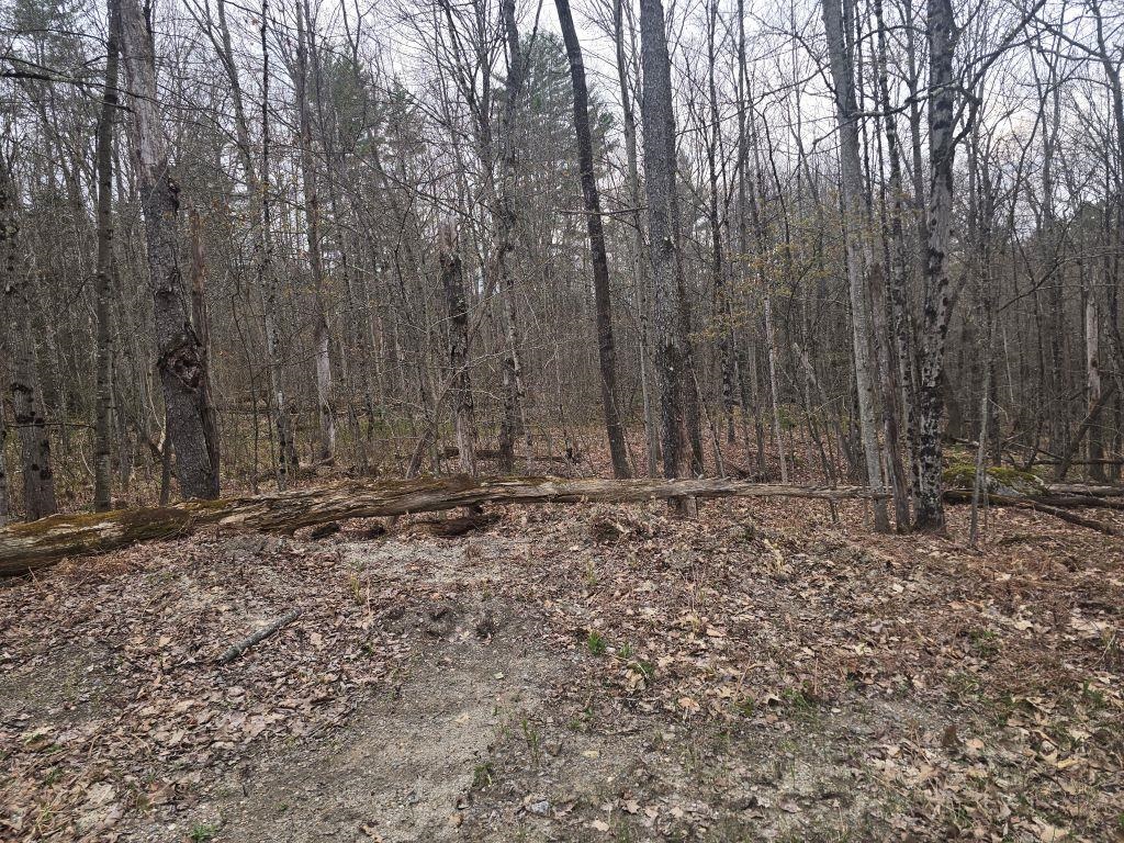 Copeland Road Property Photo 1