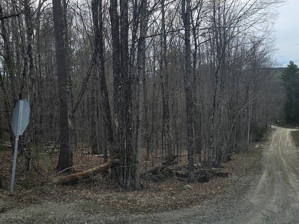 Copeland Road Property Photo 2
