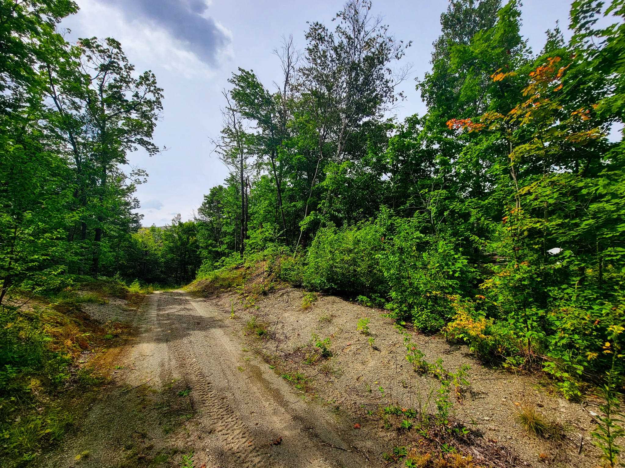 4166 Mines Road Property Photo 6