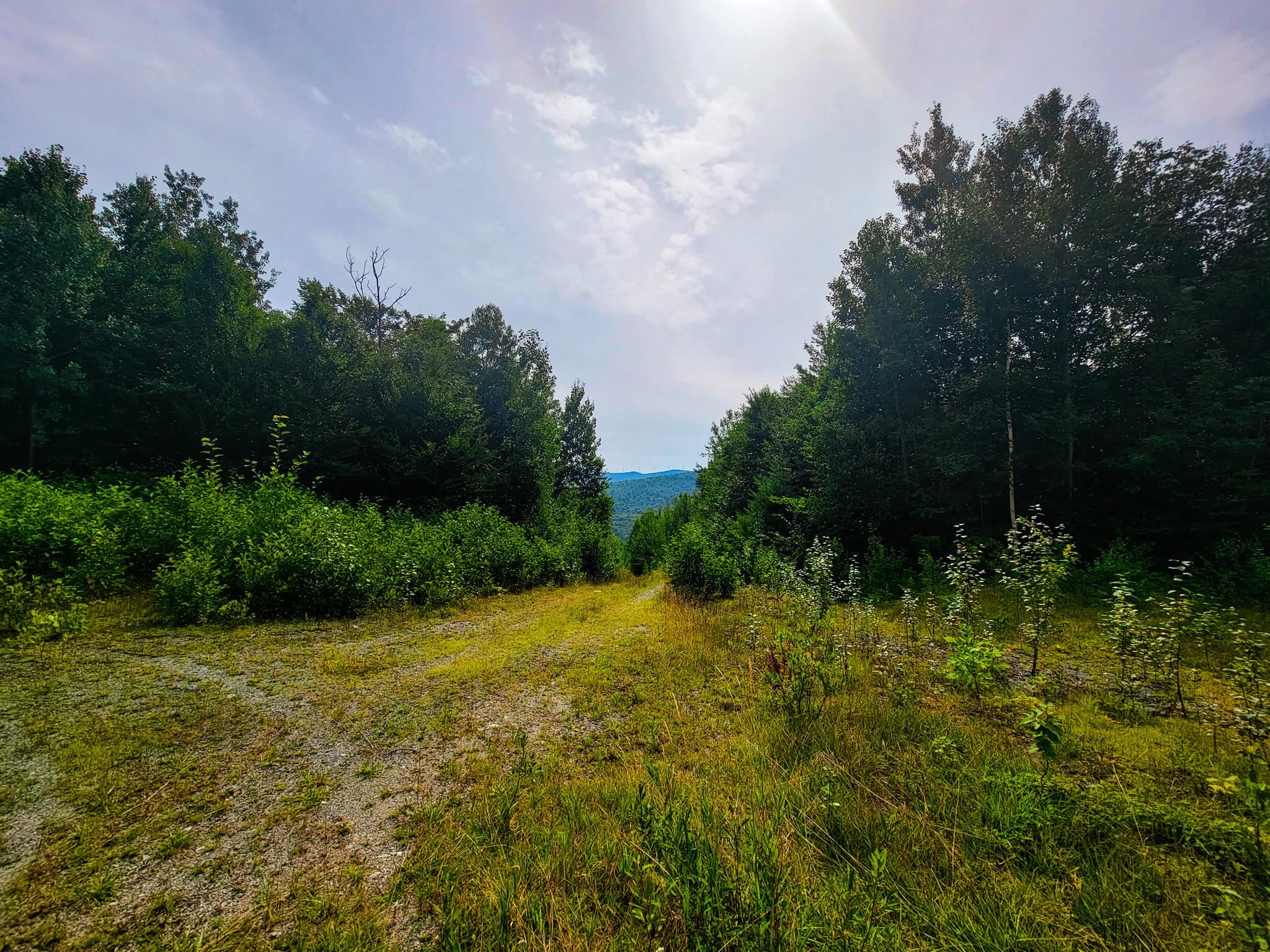 4166 Mines Road Property Photo 11