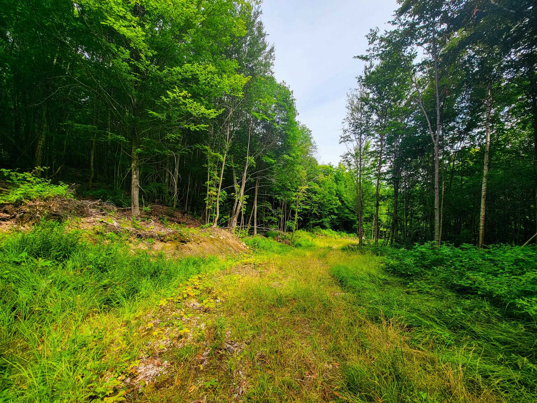 4166 Mines Road Property Photo 13